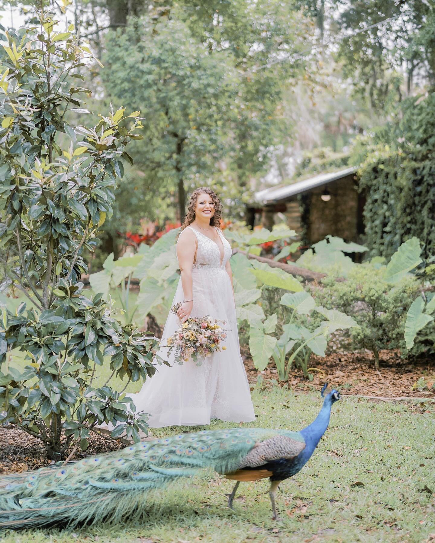 Rachel and Mike's colorful and floral Earth Day wedding at @foyflorida 🌎🌱🦚

Vendor team: 
Planning: @eventsby_amanda 
Florist: @shadyspringgardens 
Hair/Makeup: @maureenattheparlor 
Band: @ramona_and_the_riot 
Dress: @whiteswanbridal @callablanche