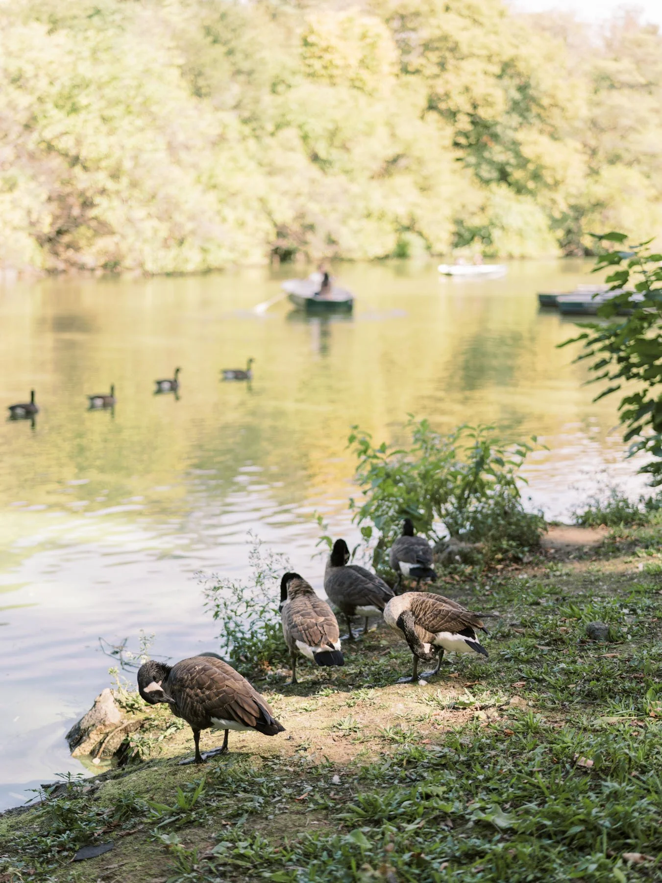 central-park-rowboat-couple-session.jpg