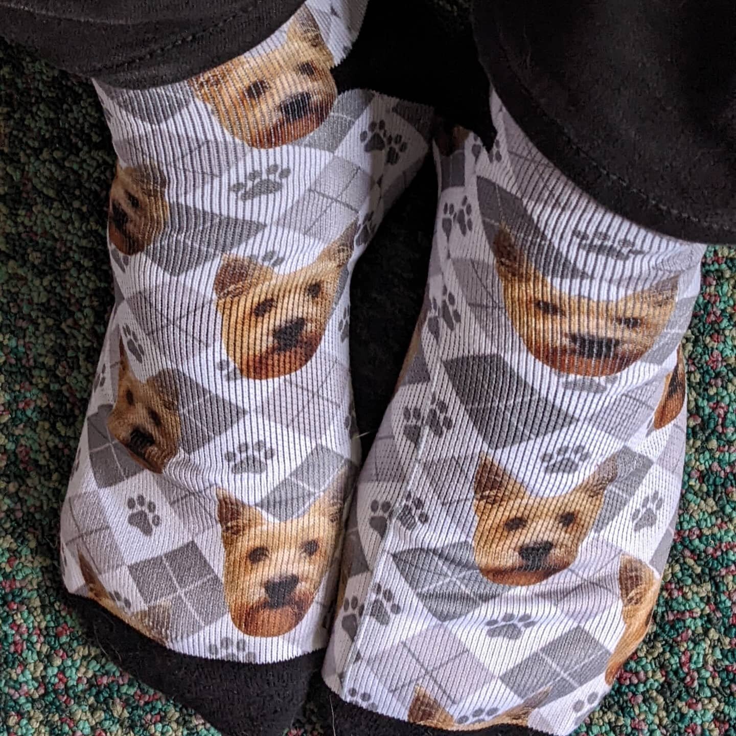 Socks appreciation post. They have a picture of my furry son on them. Amazing! Thank you @red_delia for the awesome gift.