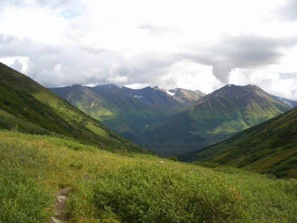 n6914428_32049500_346.jpg