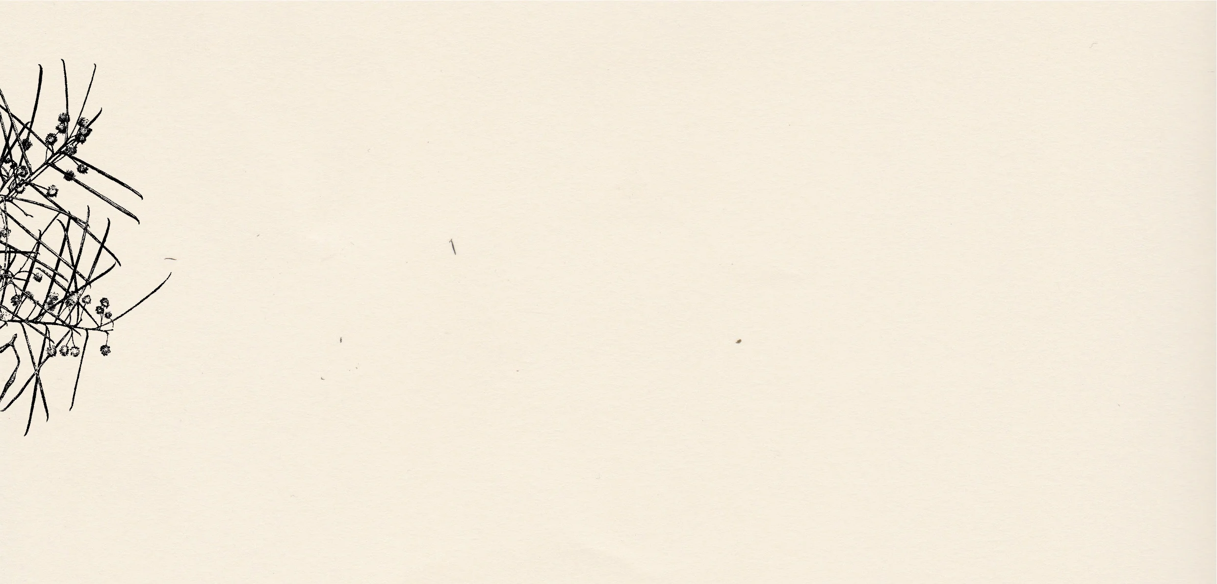 Image 2-01.jpg