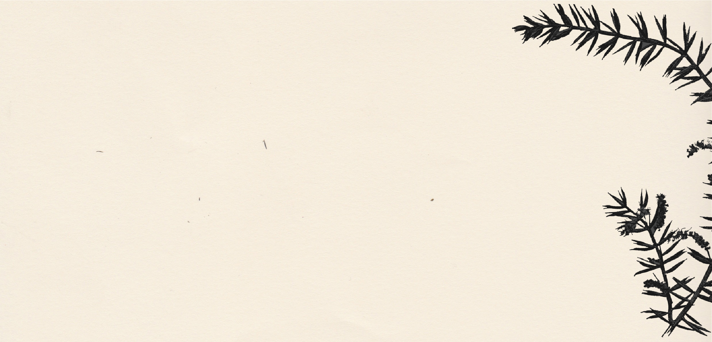 Image 3-01.jpg
