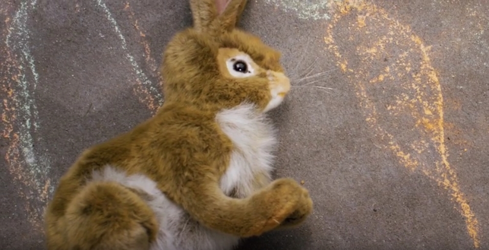 Magic Bunny 2.jpg