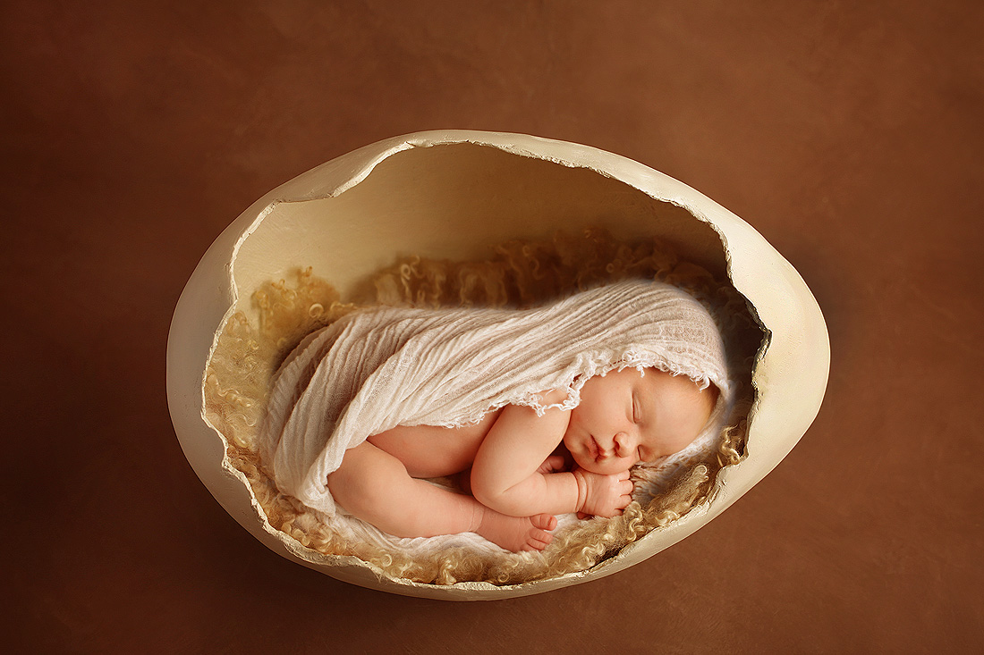 eggbabyWEB.jpg
