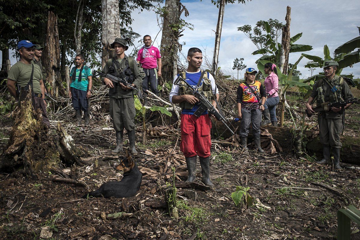 A group of guerrilleros is posing before beginning their agricultural activities in a farm where the guerrilla planted sugar cane, pineapple and cassava. June 25, 2016, South Caquetá)