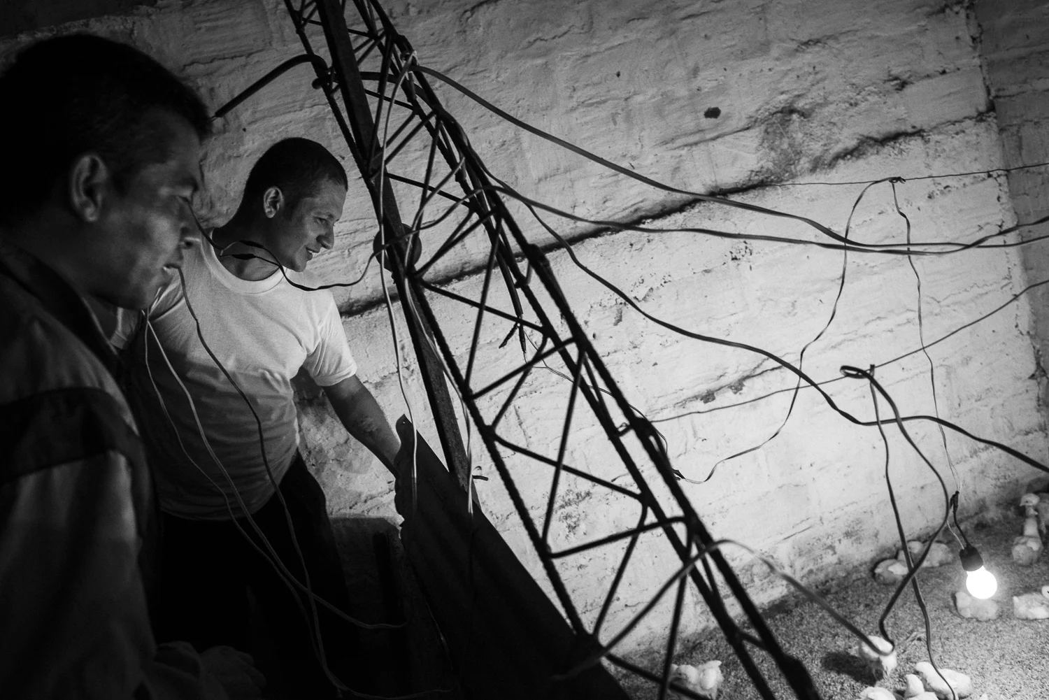 Angel, a recent released and former gang member, built a little battery chick farming on the back of the house of his parents, where he lives now. He hopes to earn some money selling the chicken. Once out of the jail, the former gang members spend their daily life between the religious cult, odd jobs or helping to convert other gang members. But there is few economic options for them. Their change of life remains subjected to the social environment and the daily economic conditions. One of the reasons to come back to the gang is an economic reason. (San Salvador, El Salvador, October 8, 2017) Credit: Nadège Mazars / Hans Lucas studio