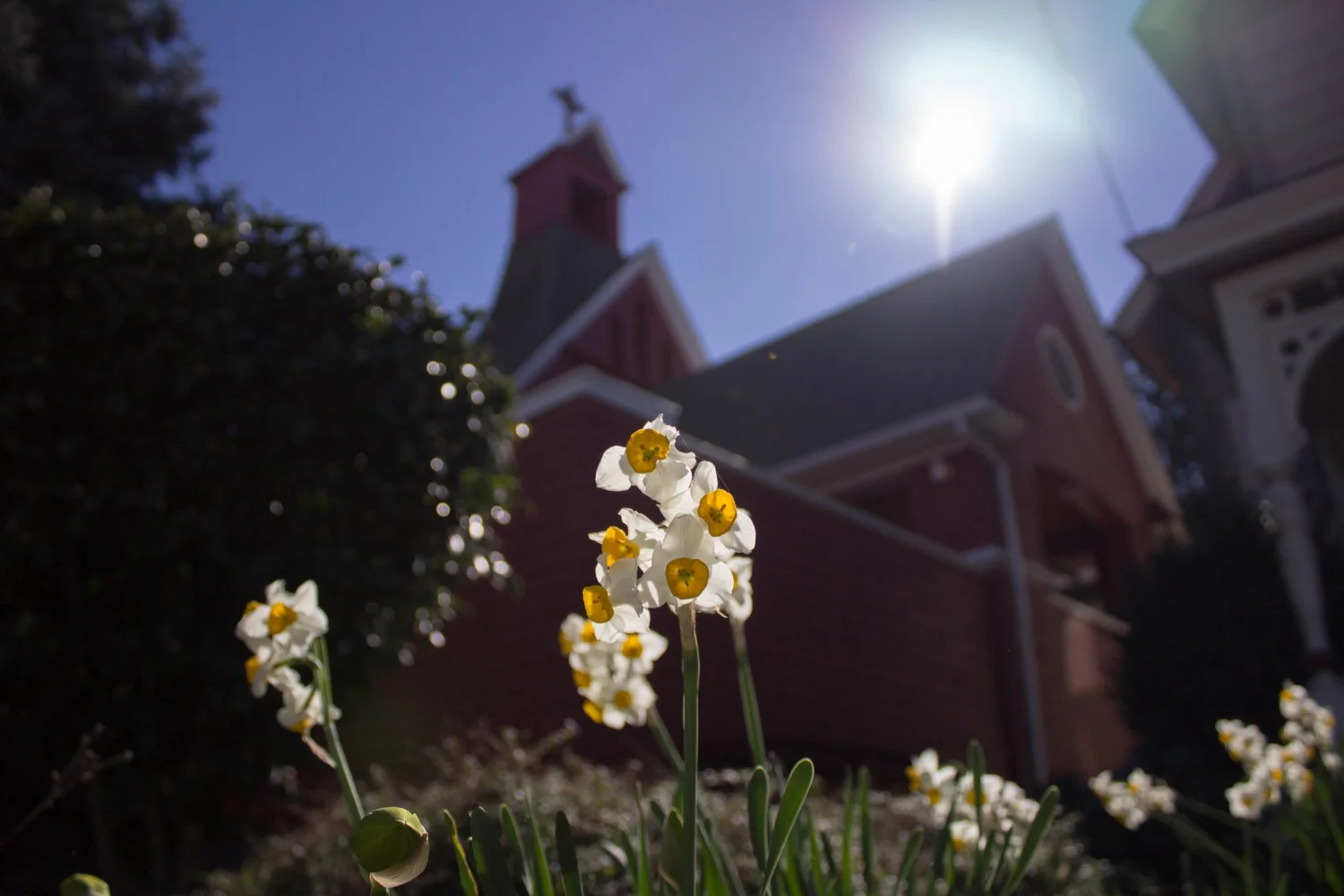 STLUKE (93 of 94).jpg