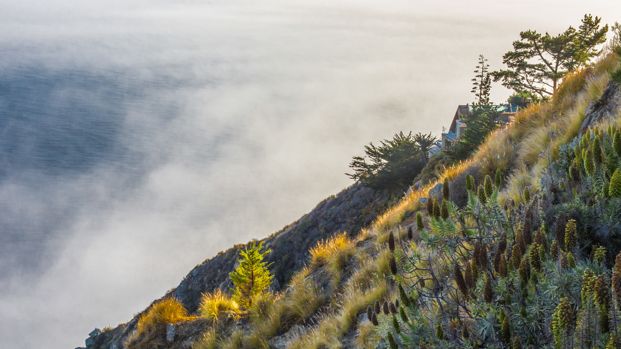 Big Sur