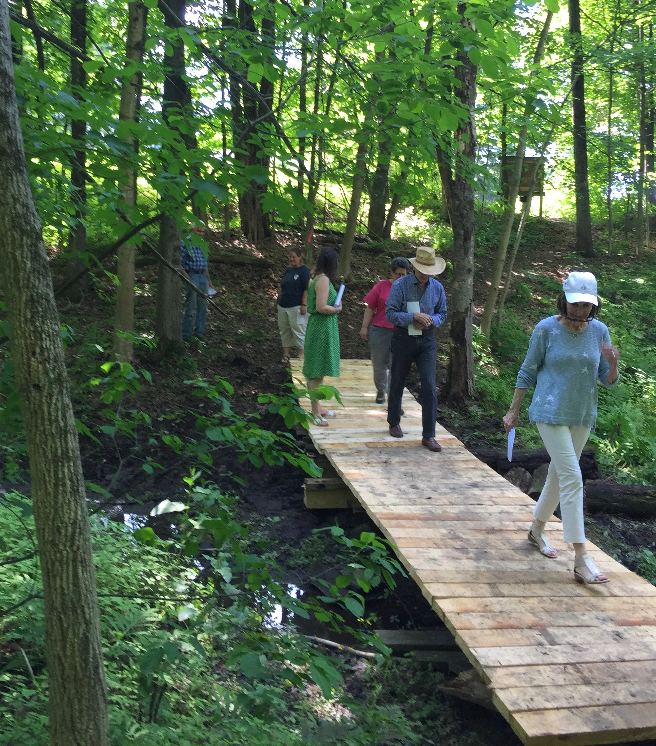 First bridge crossing.jpg
