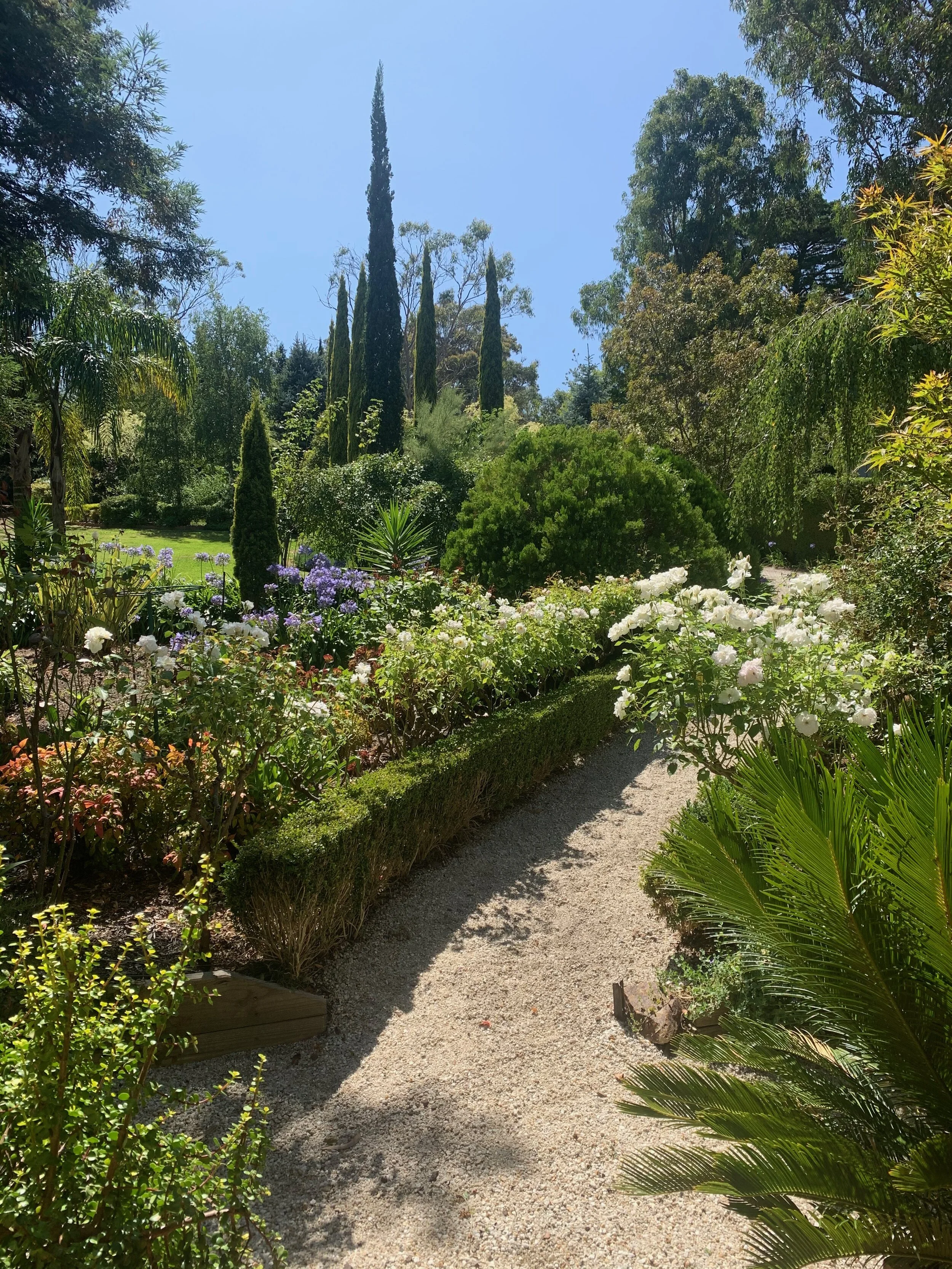 The front garden at 24 Gillards Road, Mount Eliza is a breathtaking entry to a spectacular property.