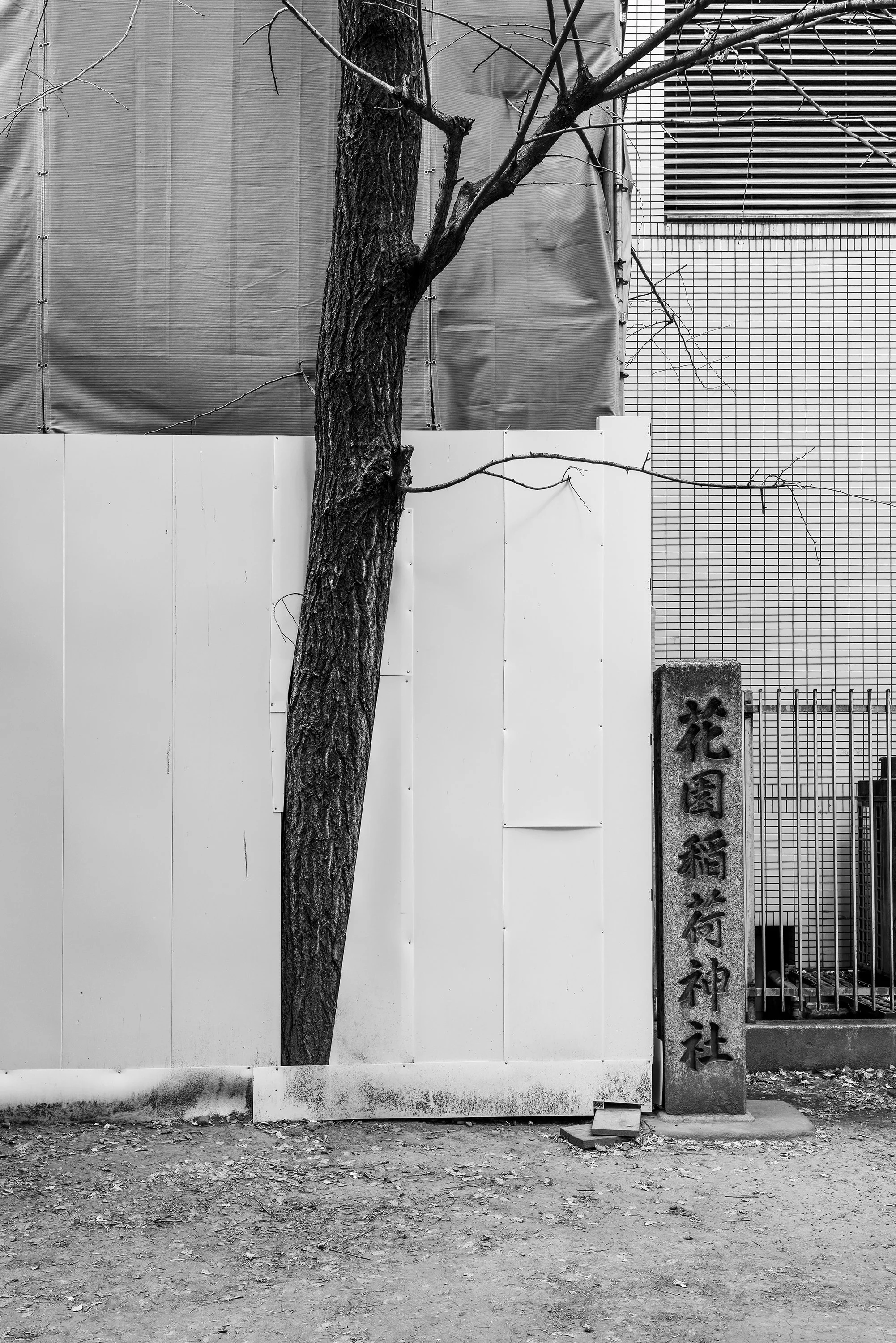 SHINJUKU-9.jpg