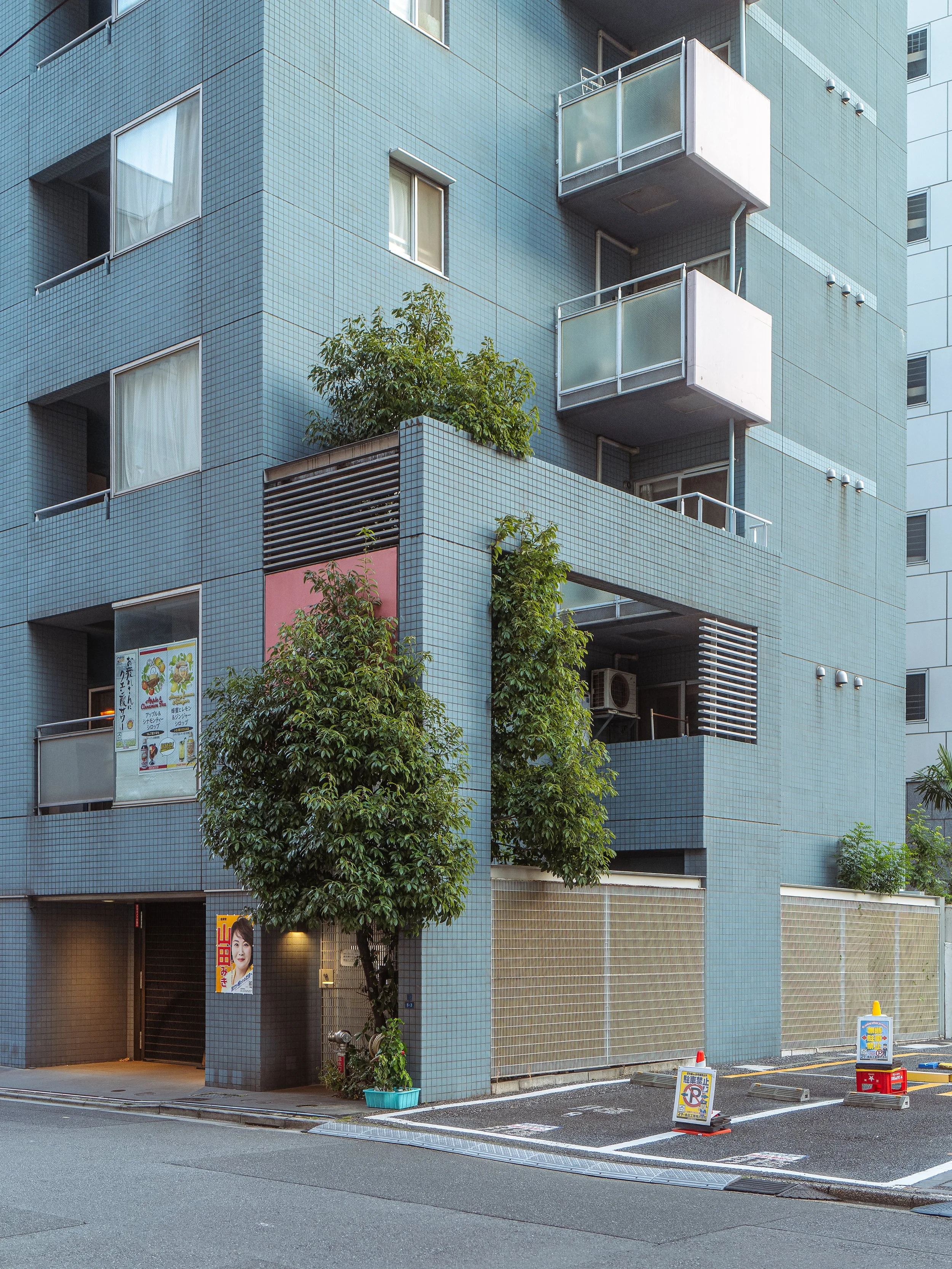 L1042908-DxO_DeepPRIME XD2s.jpg