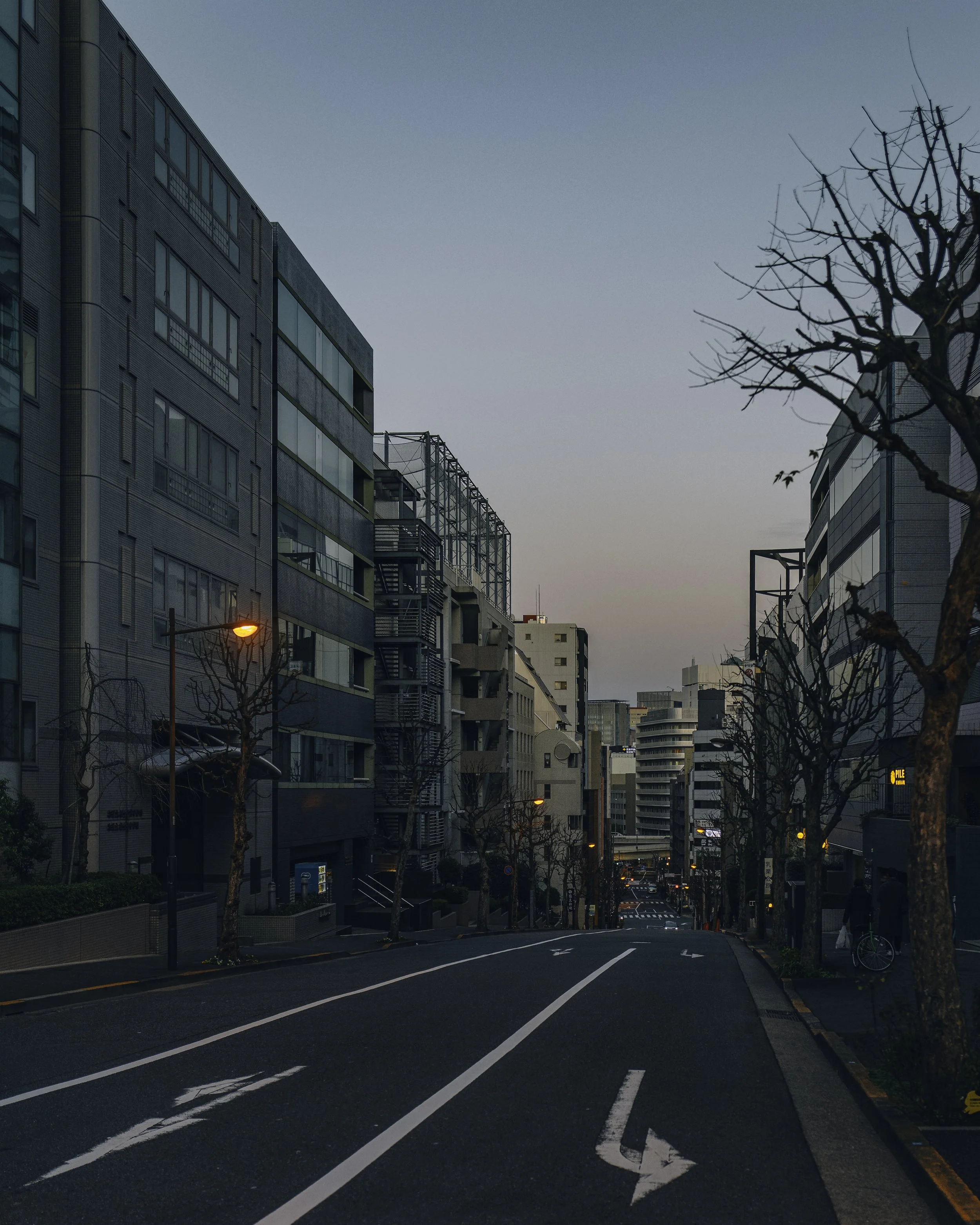 L1043003-DxO_DeepPRIME XD2s.jpg