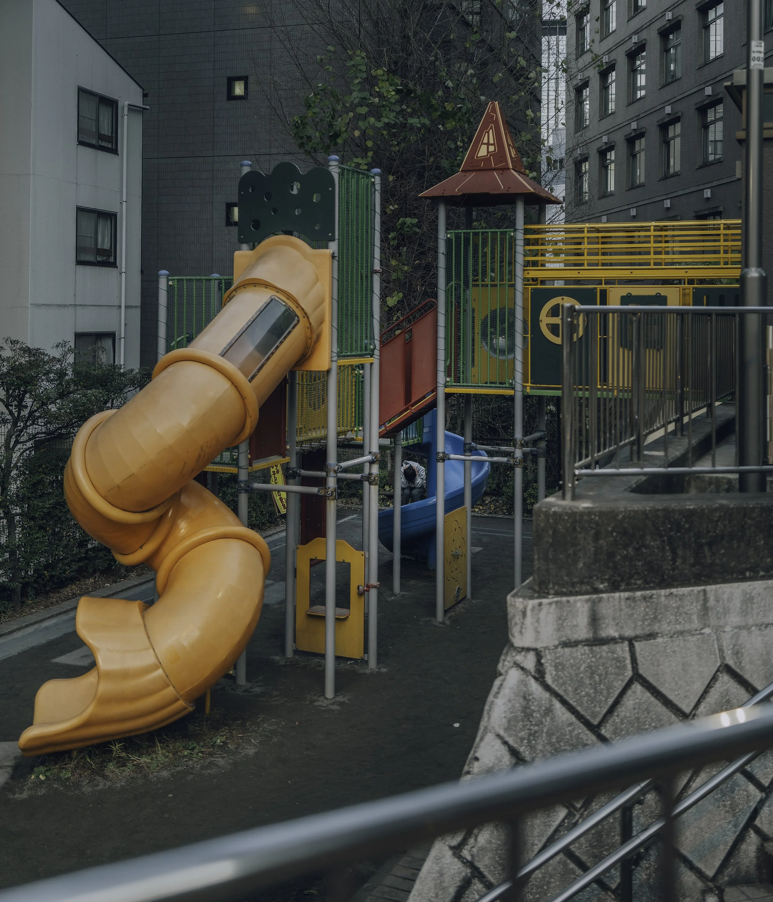 L1043005-DxO_DeepPRIME XD2s.jpg