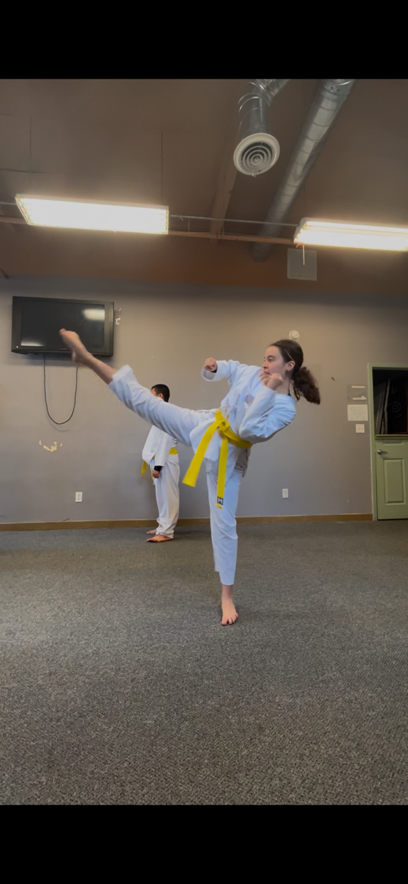 Taekwondo 1.PNG