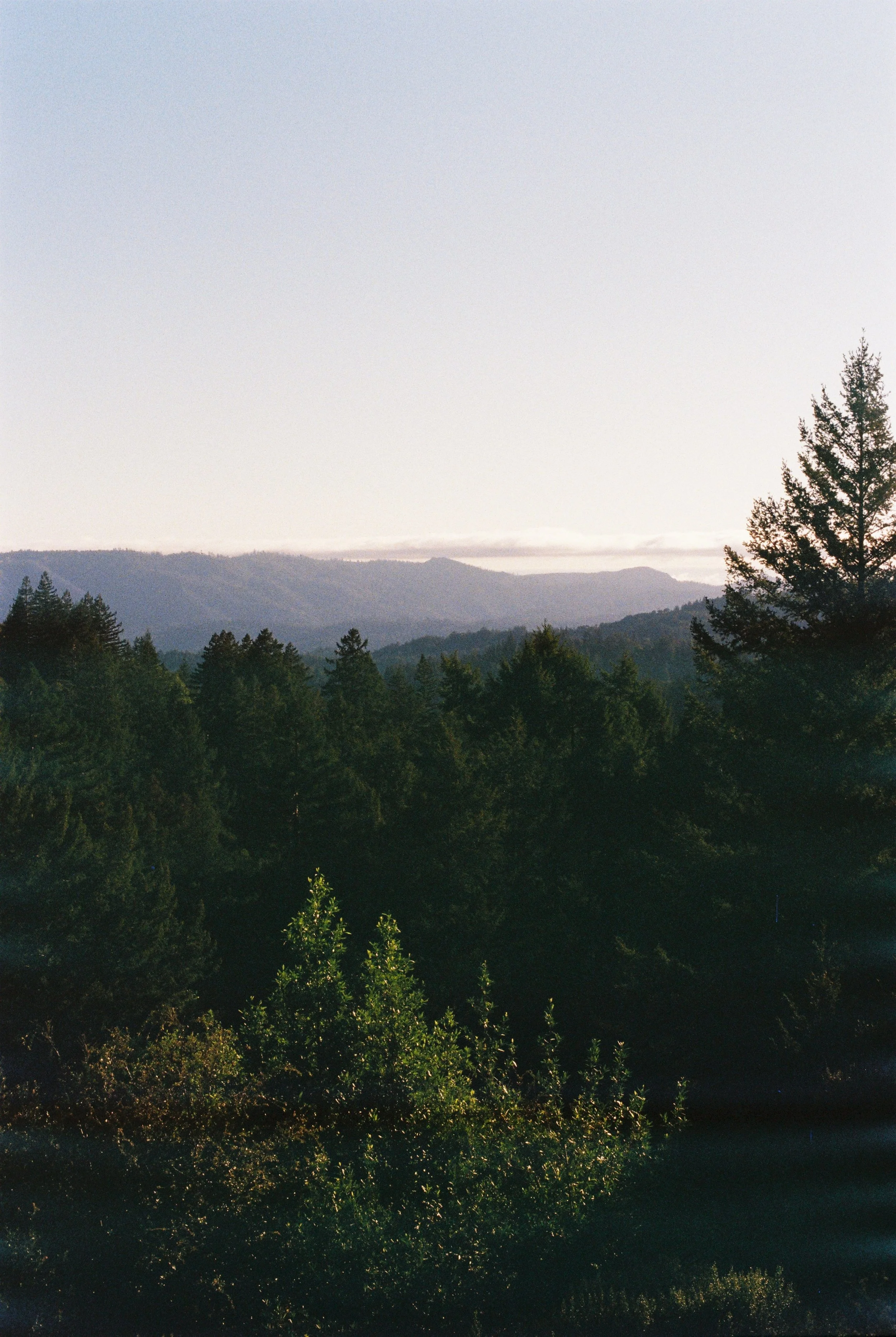 R1-00706-008A.JPG