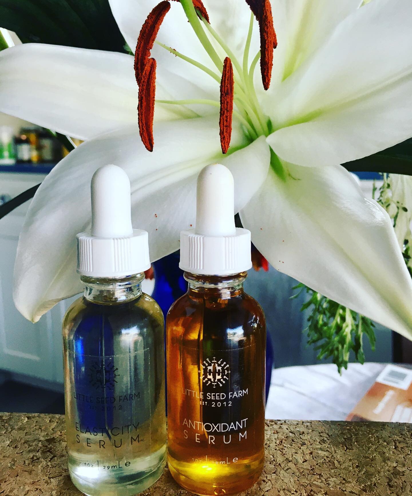 Obsessed with this duo from Little Seed: elasticity and antioxidant serums. They&rsquo;re clean, lightweight goodness 🌸