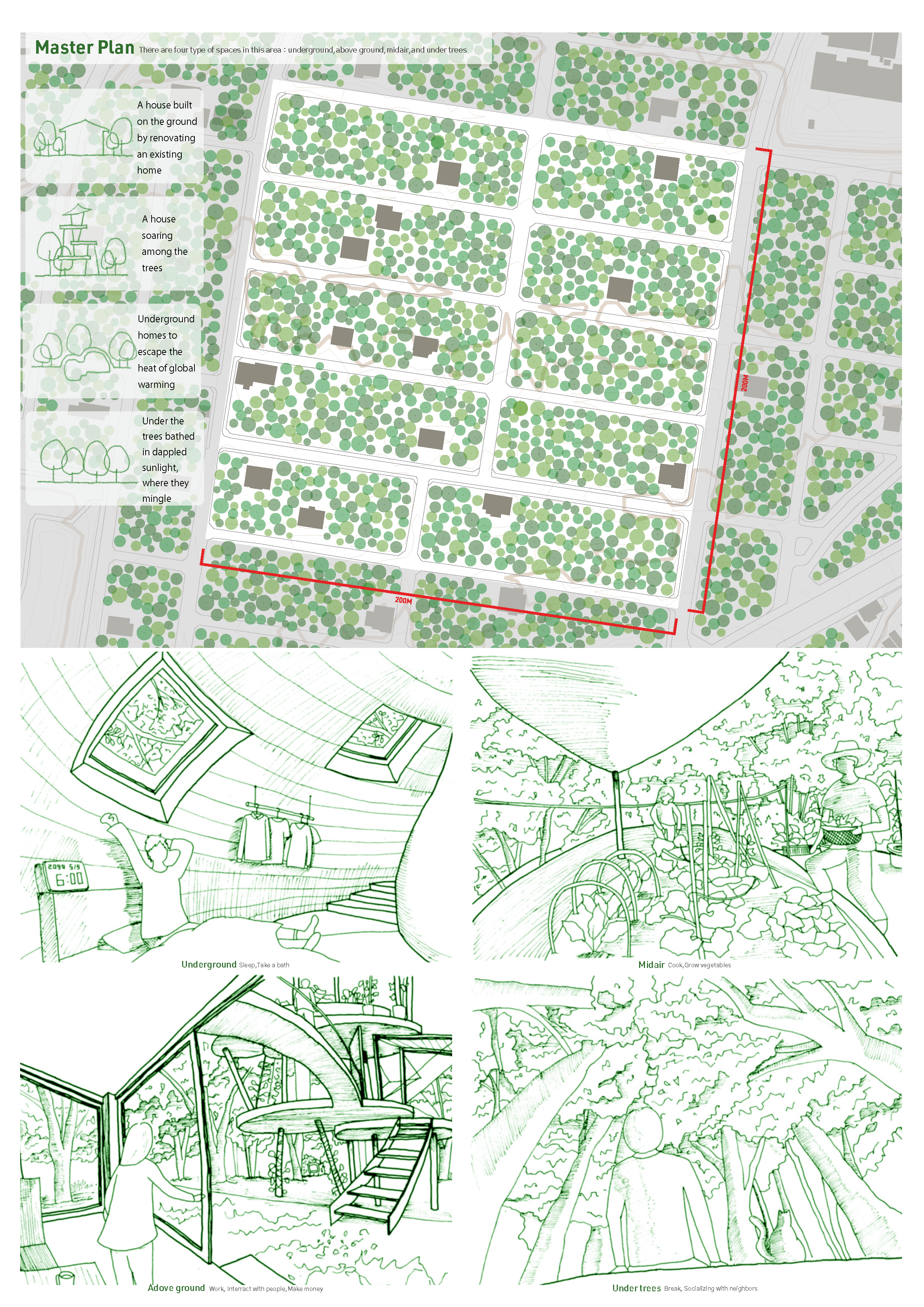 27_BACK TO THE FOREST_Page_2.png