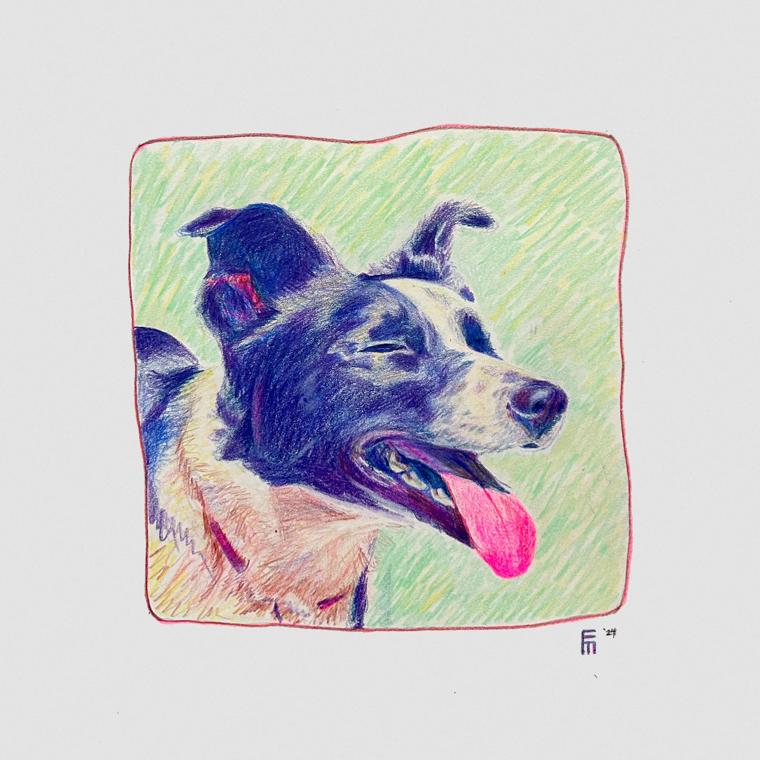 Meehanimals 2026 Portrait