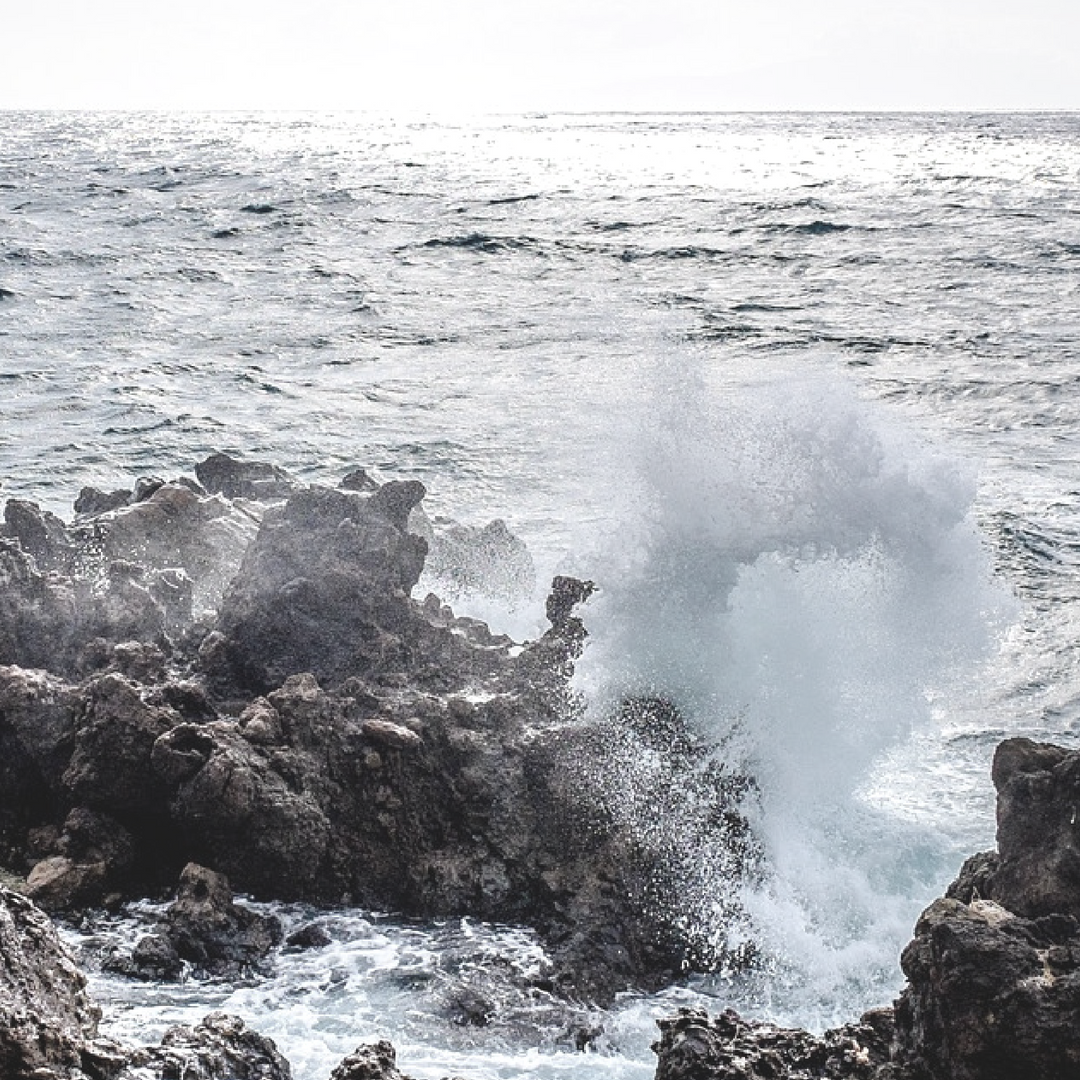 What is a changemaker? 