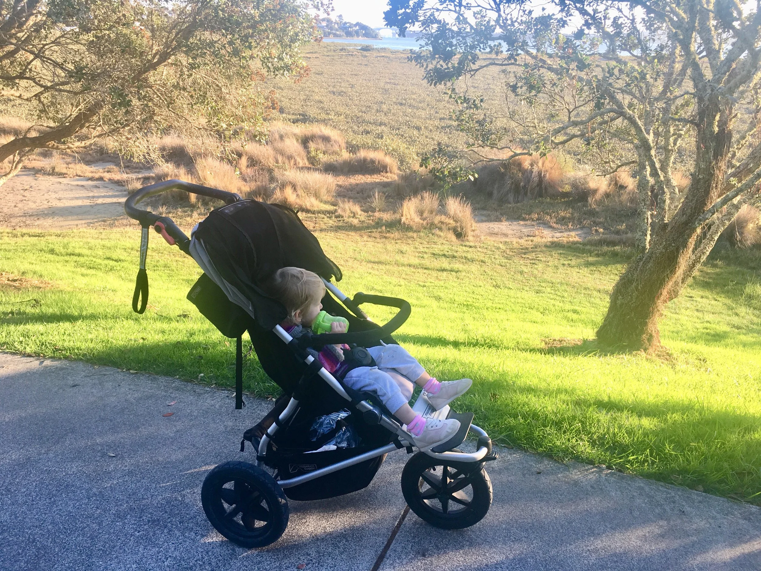 Night wakings, daycare fun and afternoon strolls