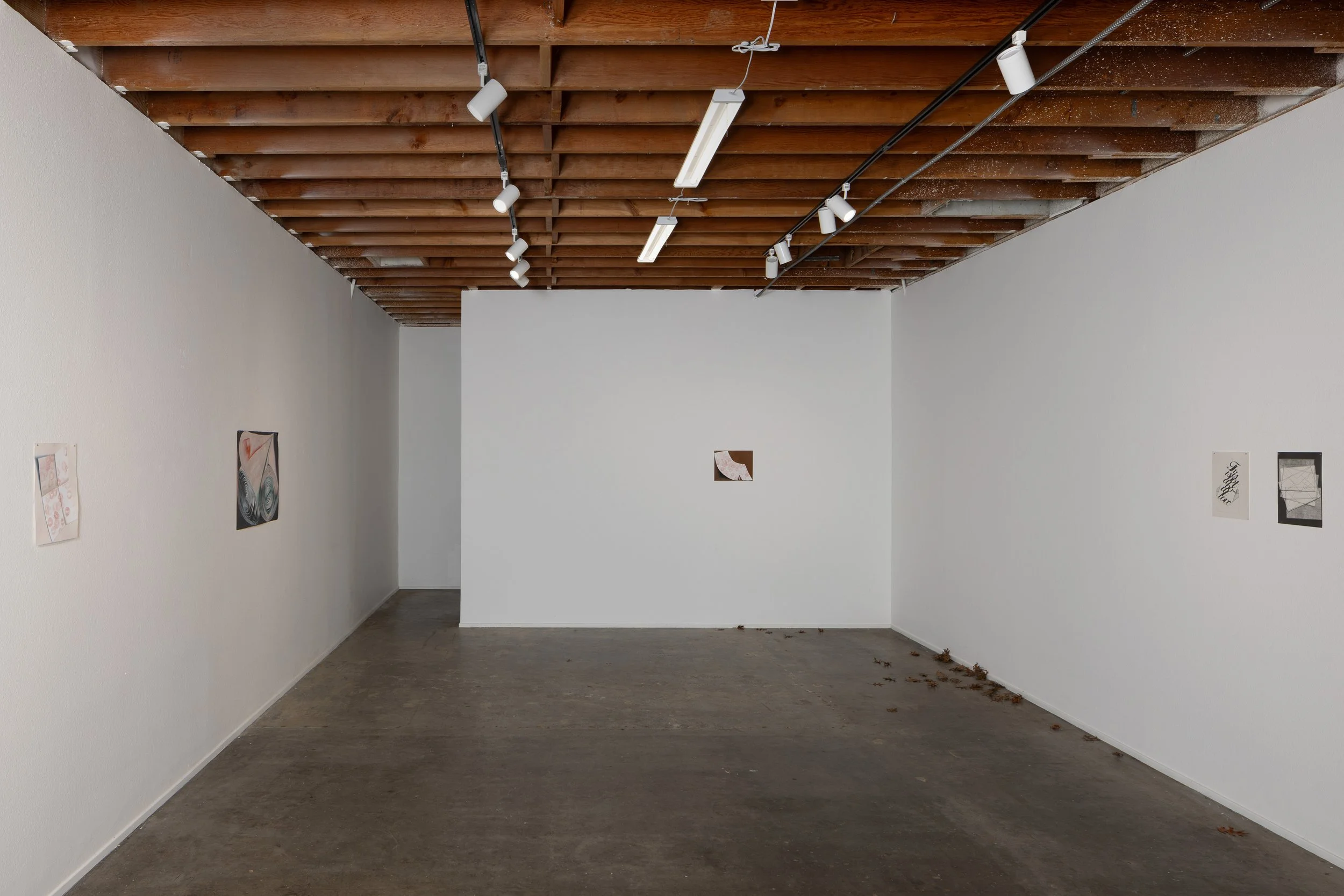 lowres_Left_ Field_Laplea_02.JPG