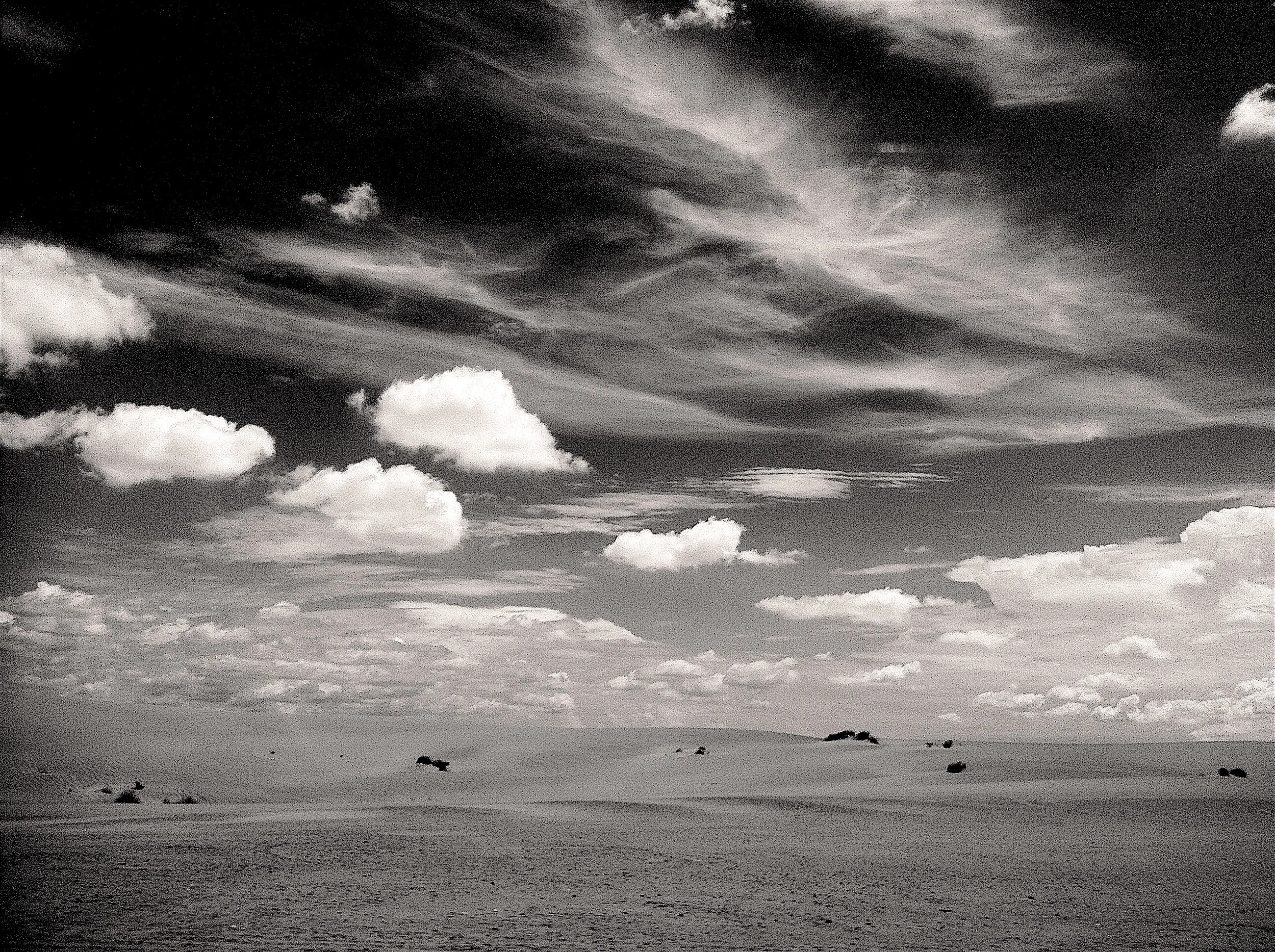 IMG_B&WDunes(1).jpg