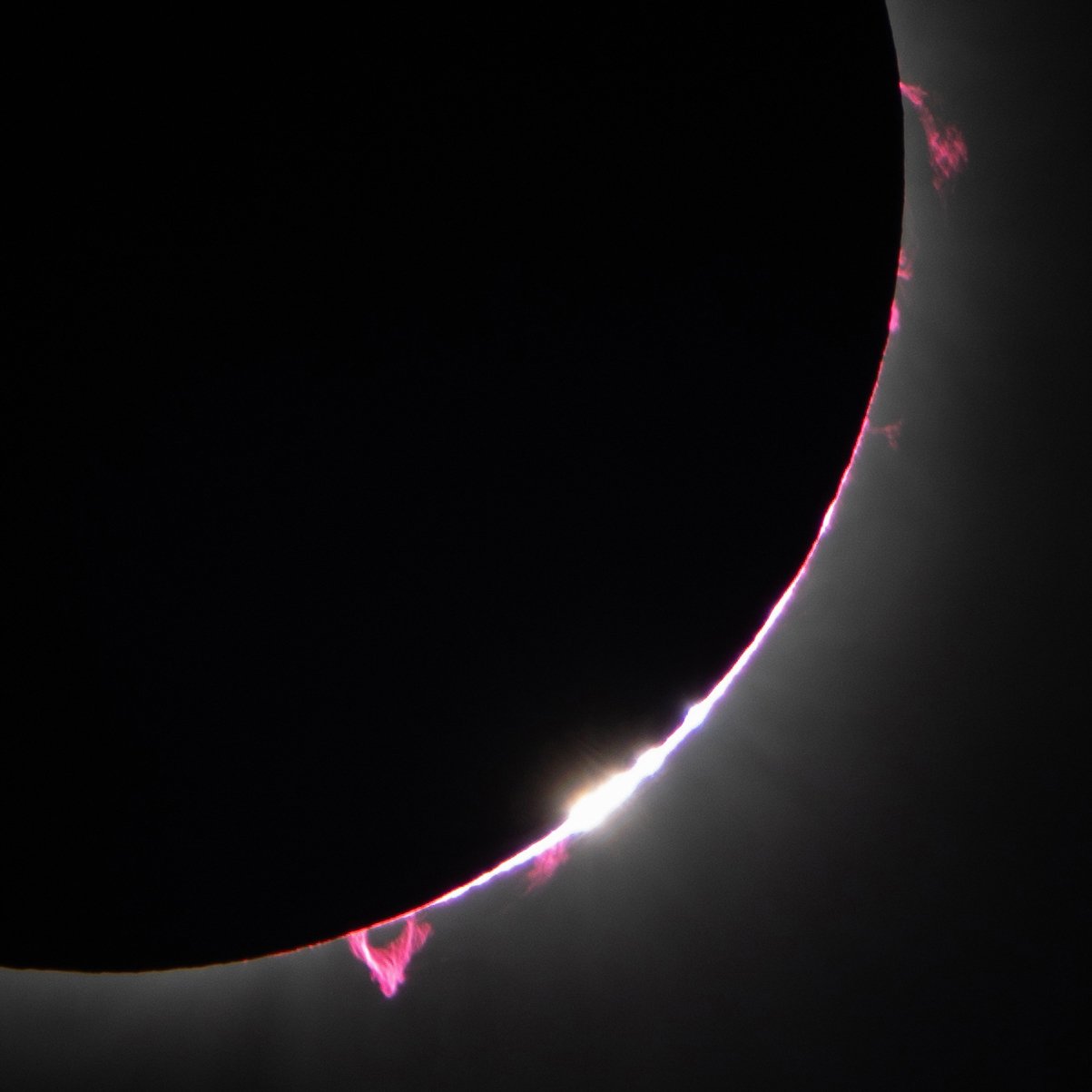 2024 Total Solar Eclipse Solar Prominences
