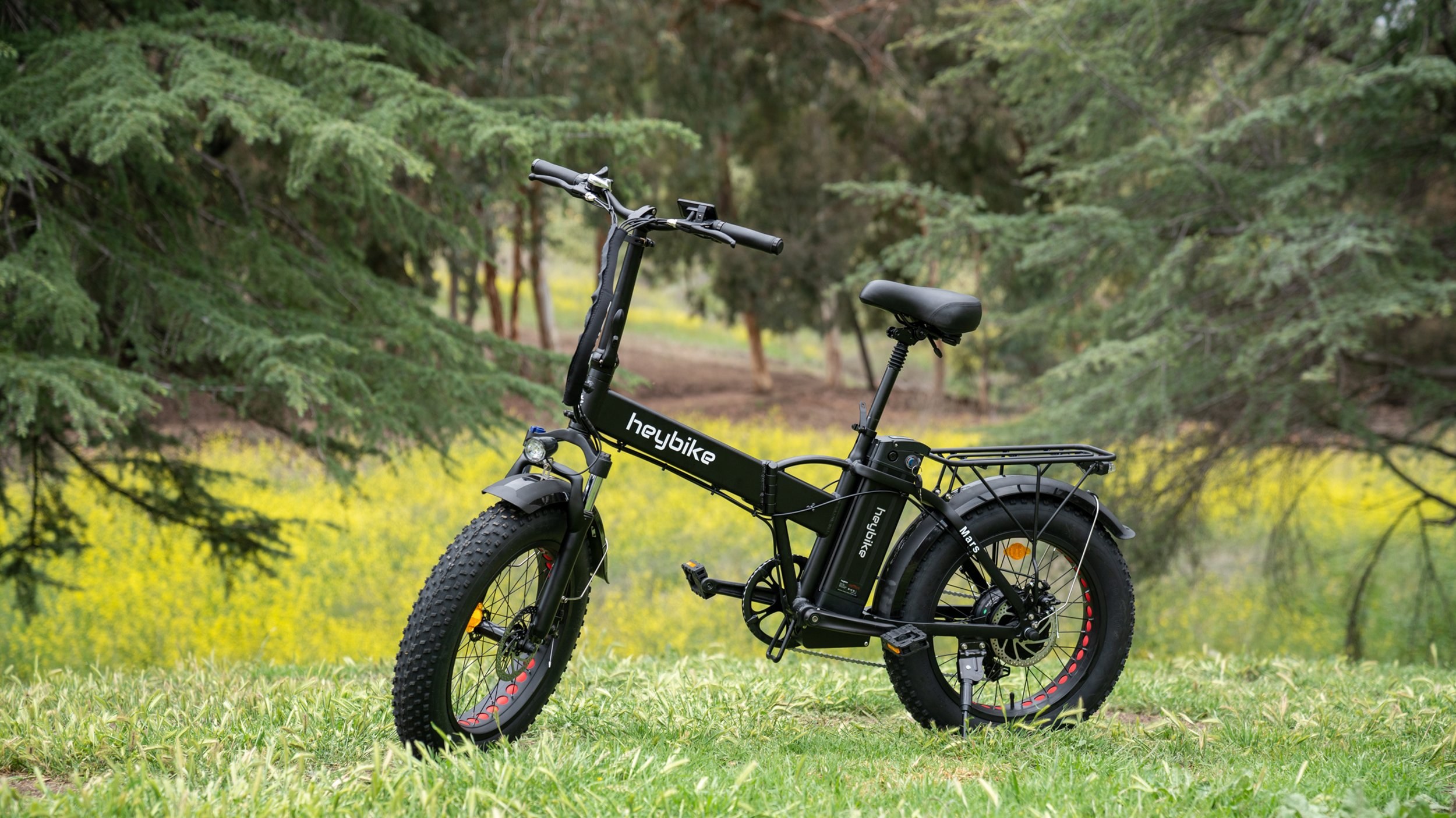 heybike1.jpg