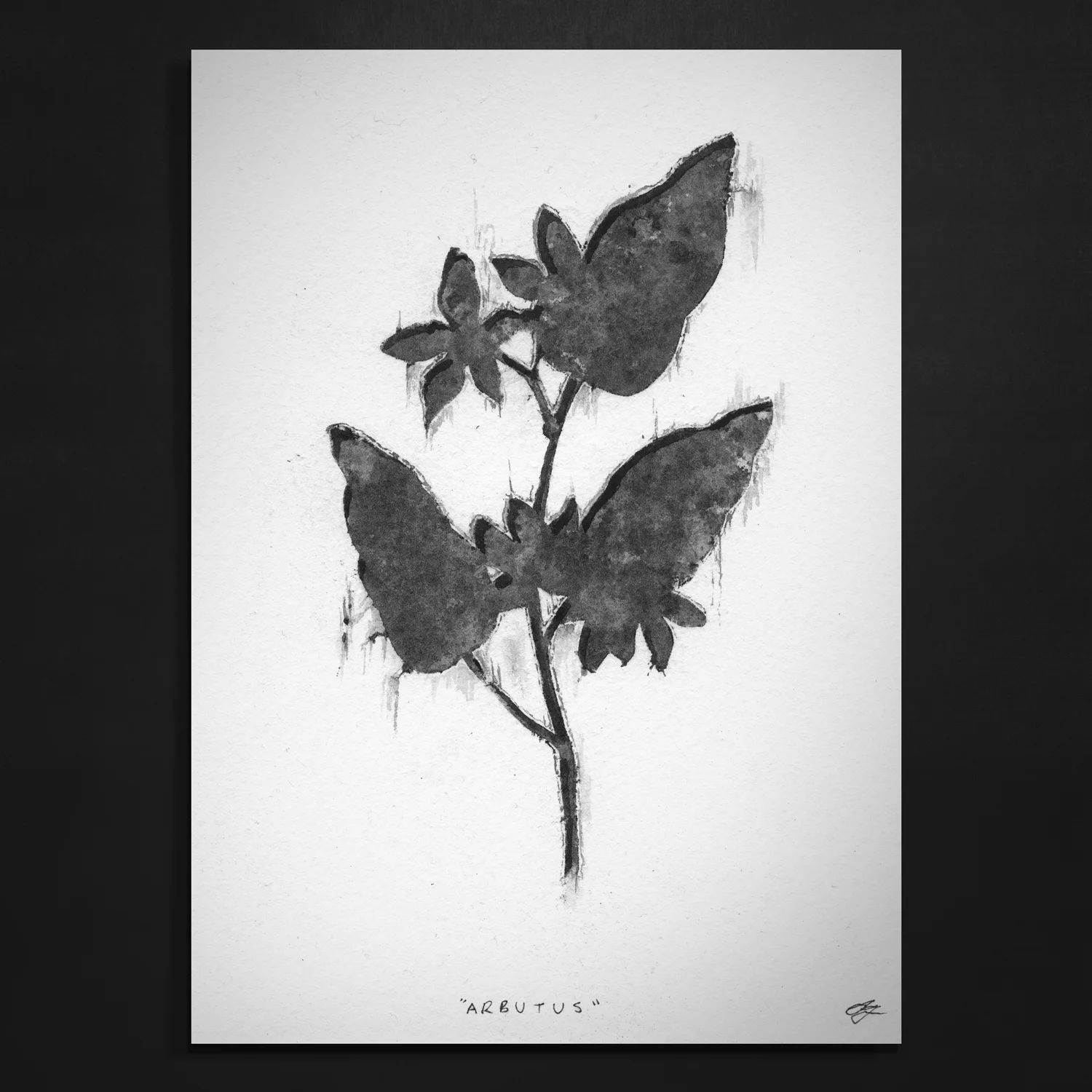 ARBUTUS // PRINT