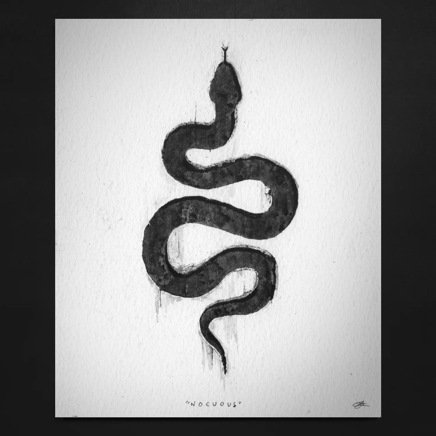 NOCUOUS // PRINT
