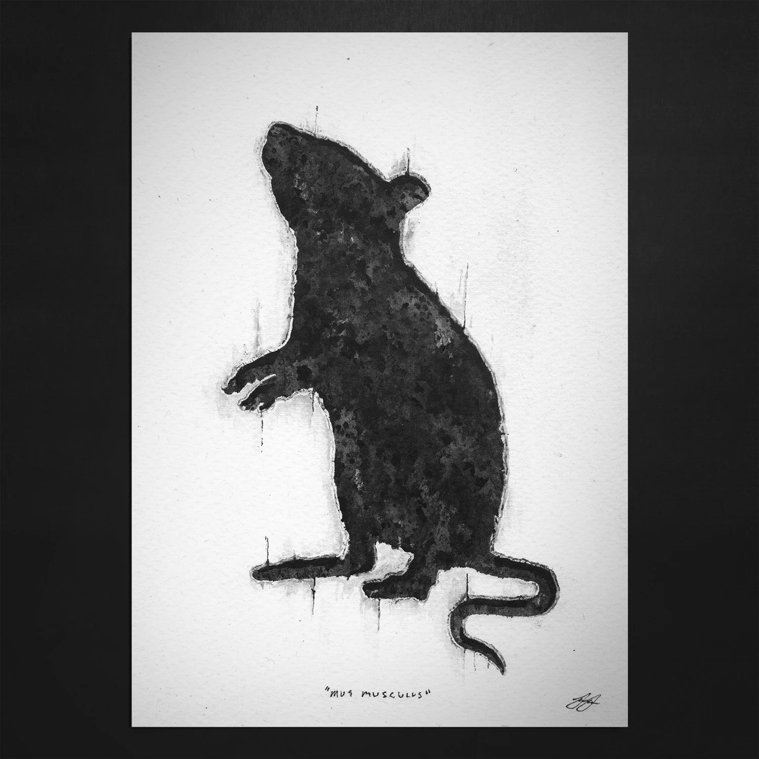 MUS MUSCULUS // PRINT