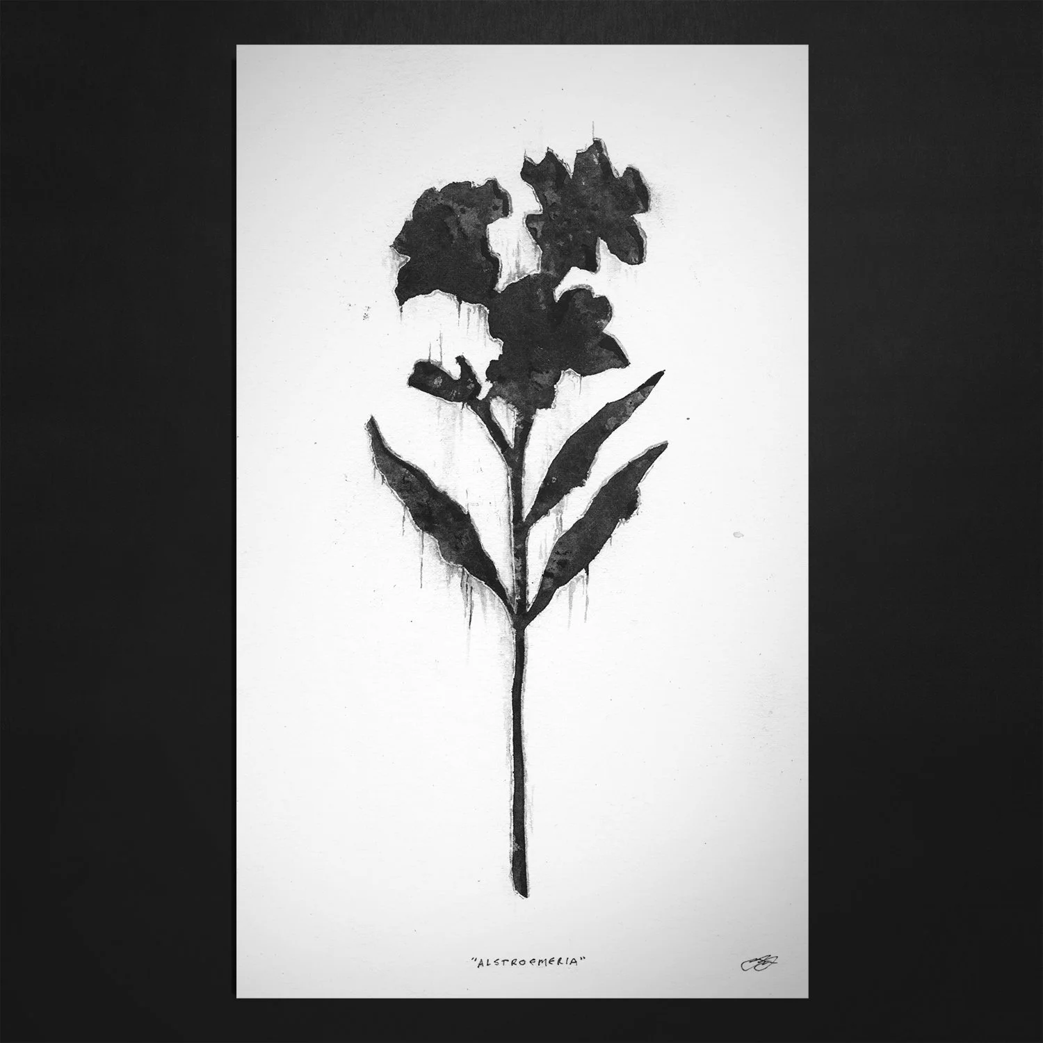 ALSTROEMERIA // PRINT