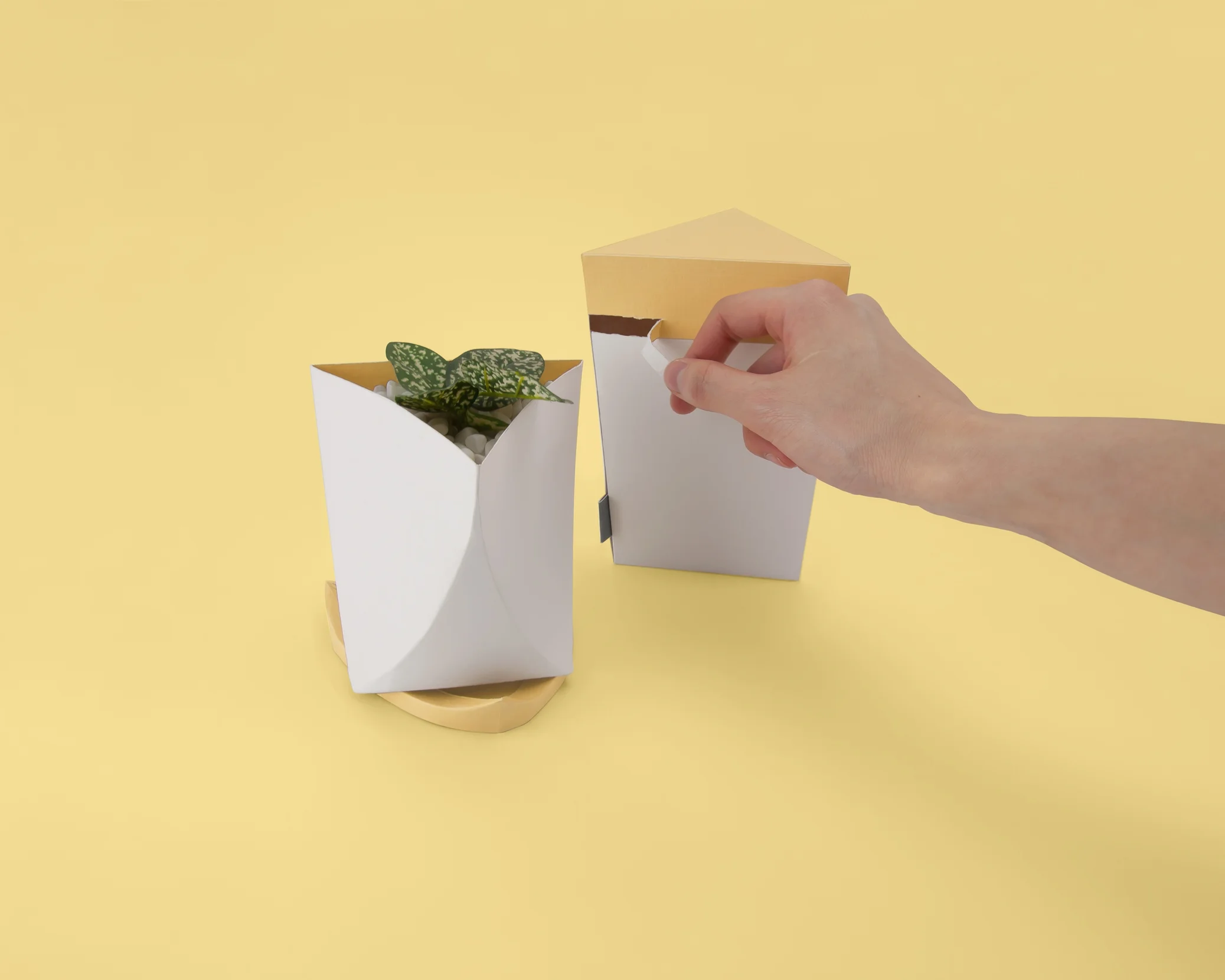 DSC_0889 (2)_retouch.JPG