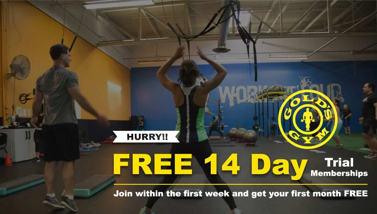 14 day trial membership — Gold's Gym ster Gym located in ster