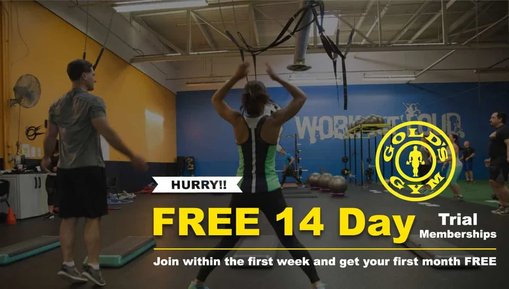 14 Day Trial Membership Golds Gym Webster Gym Located In Webster Ny Gym Personal Training Group Exercise Athletic Training More
