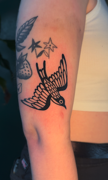MaxCreoTattoo 2026-05-25 at 7.29.21 PM copy.png