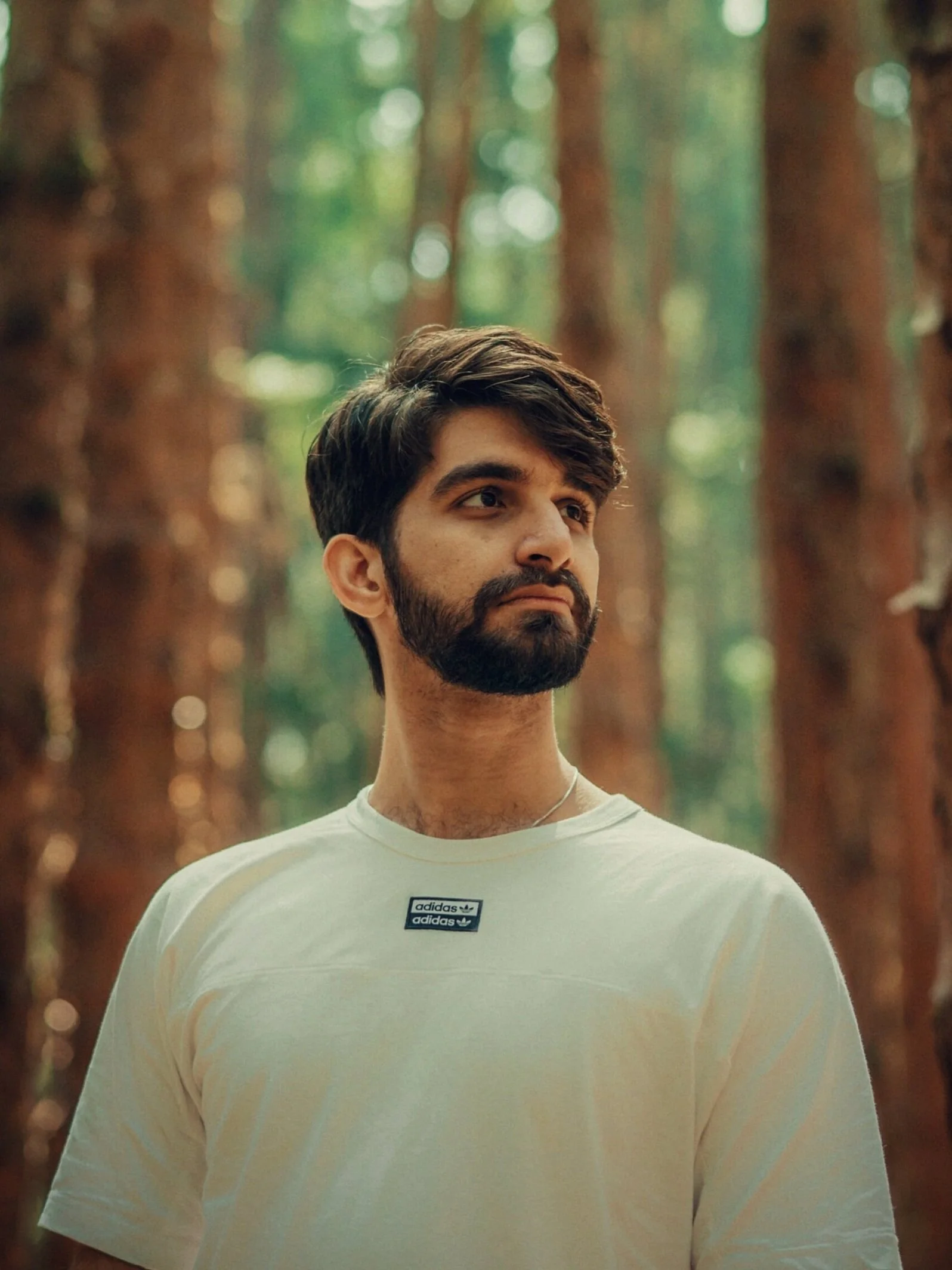 Ali Naqi Co-Founder/Creative Director