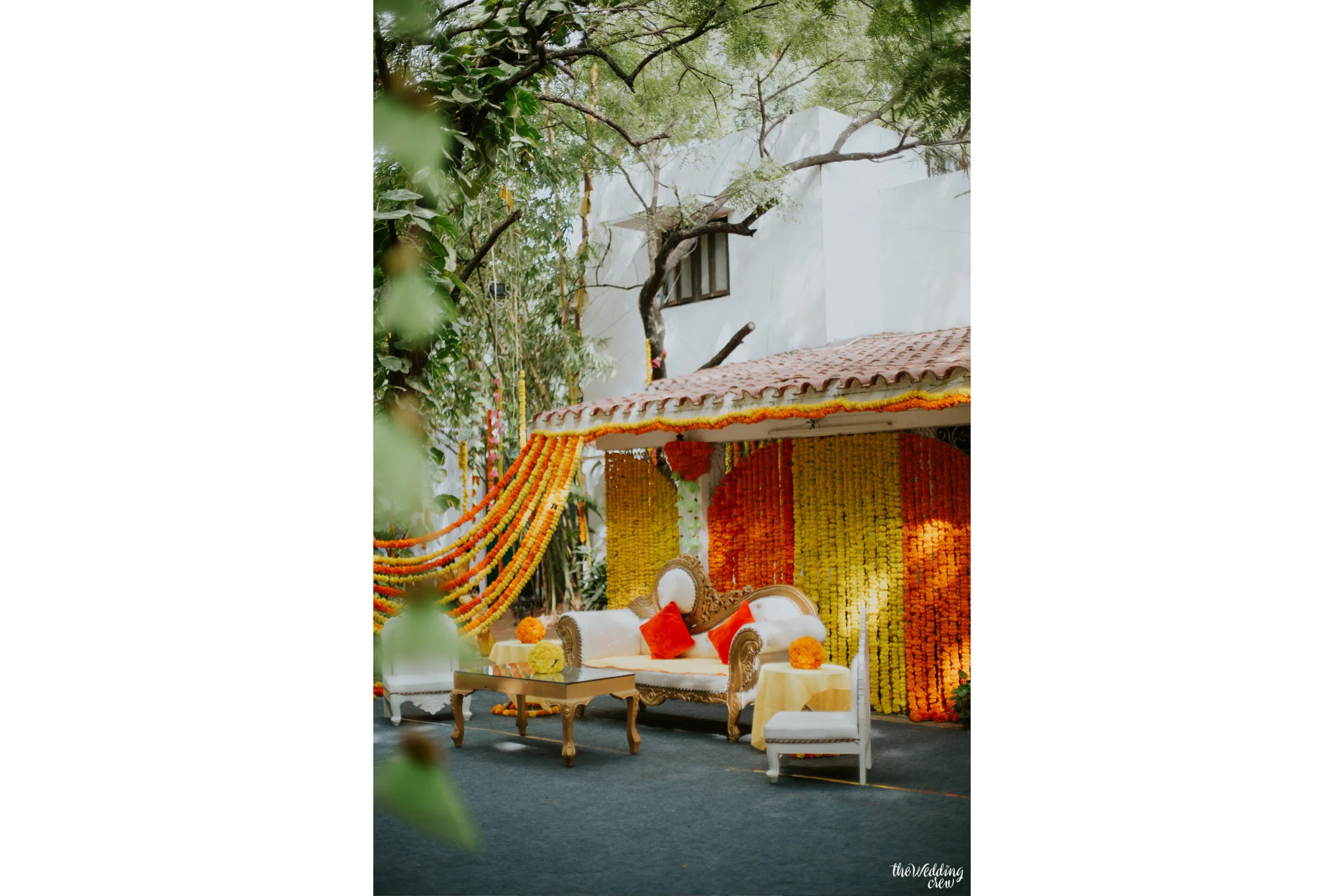 Adil + Esha_collage-01.jpg