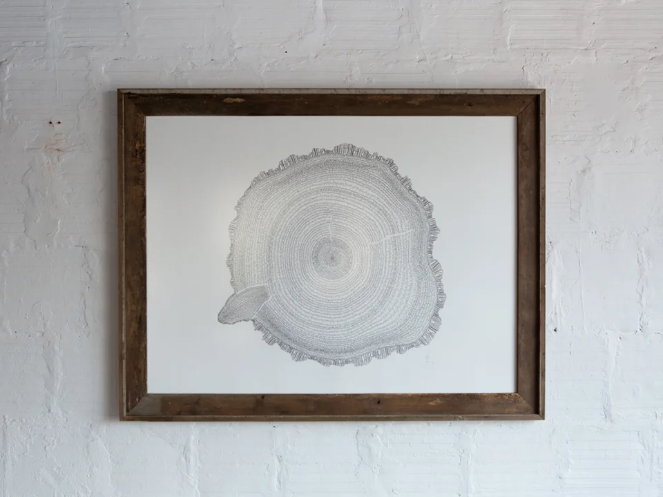   Between the Lines pt. 1  Ink on paper 2013  This is the first (pt. 1) of a four-part series of works. The other three are on their way.  The series began when I was walking through my friend's rural backyard in Mill City, Oregon. A stump stood on t