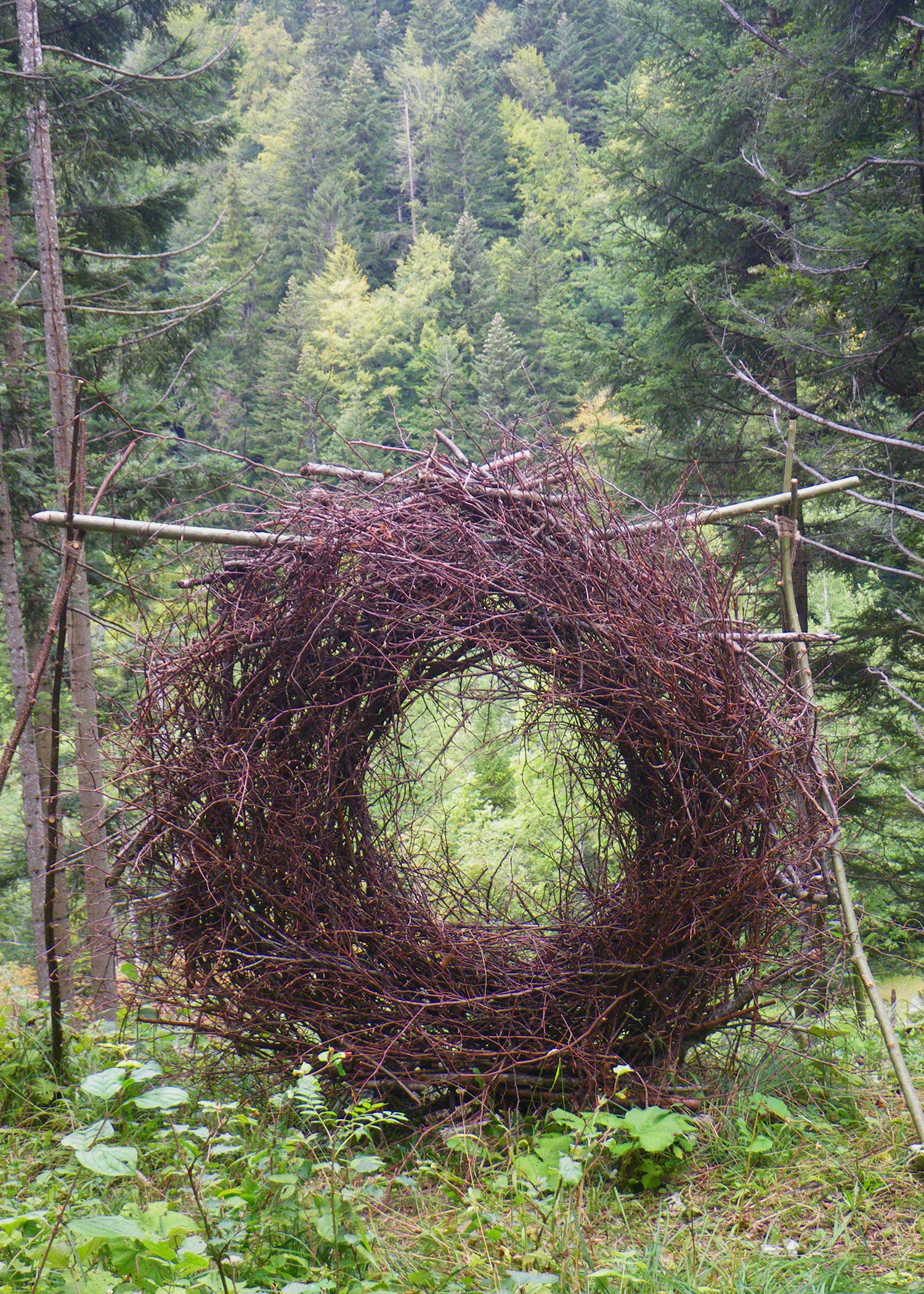 Brigittte_Rossi_Landart_2.jpg