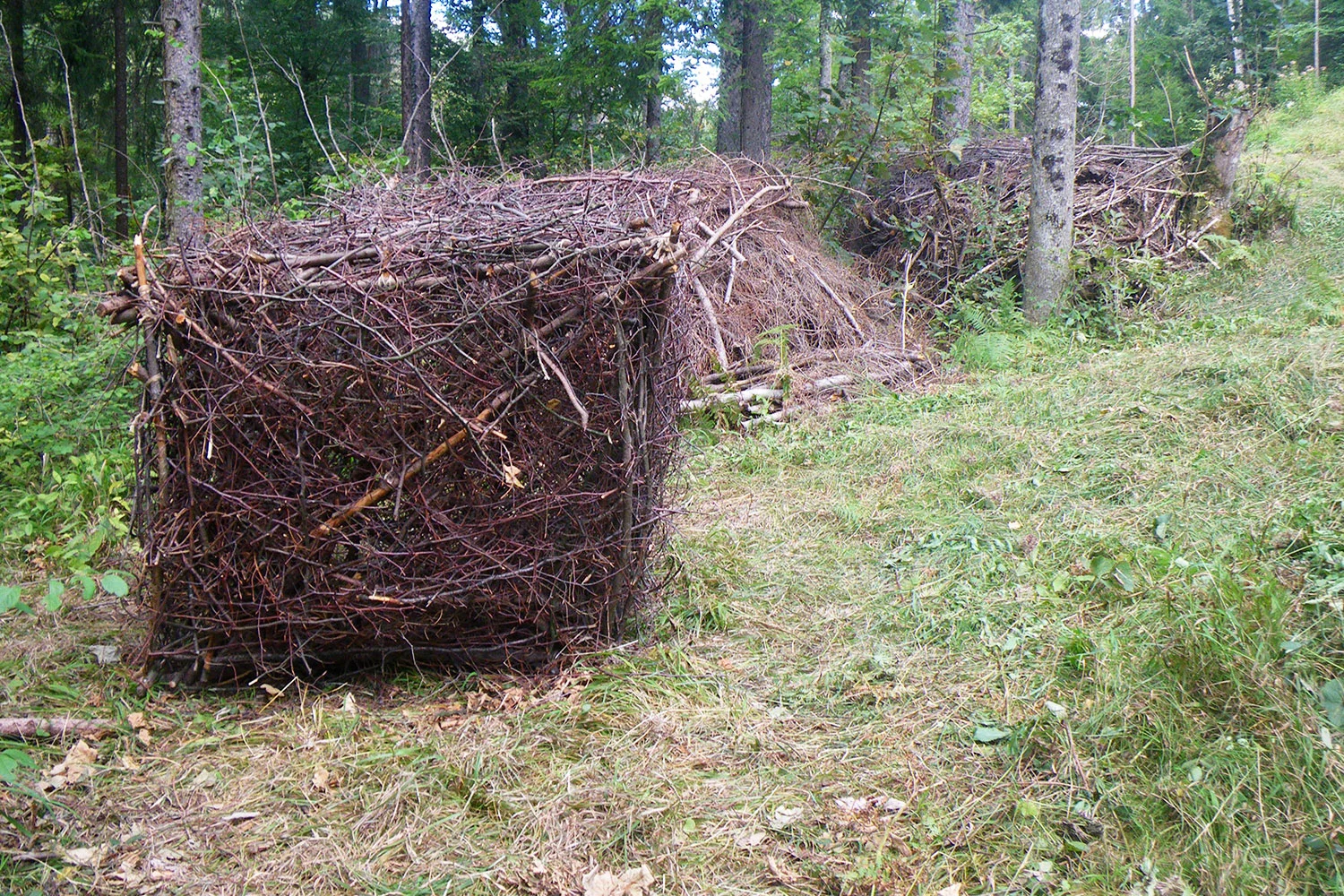 Brigittte_Rossi_Landart_3.jpg