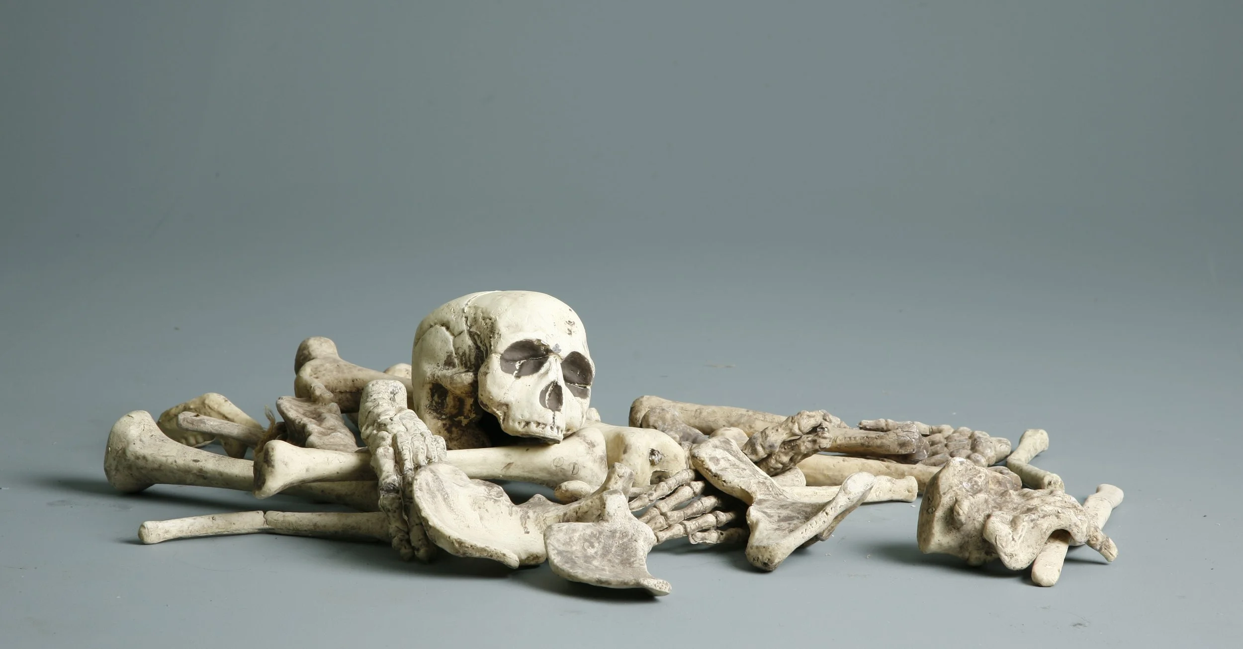 bones___1_by_mjranum_stock.jpg