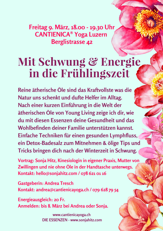 Vortrag_Schwung & Energie_3_18.png