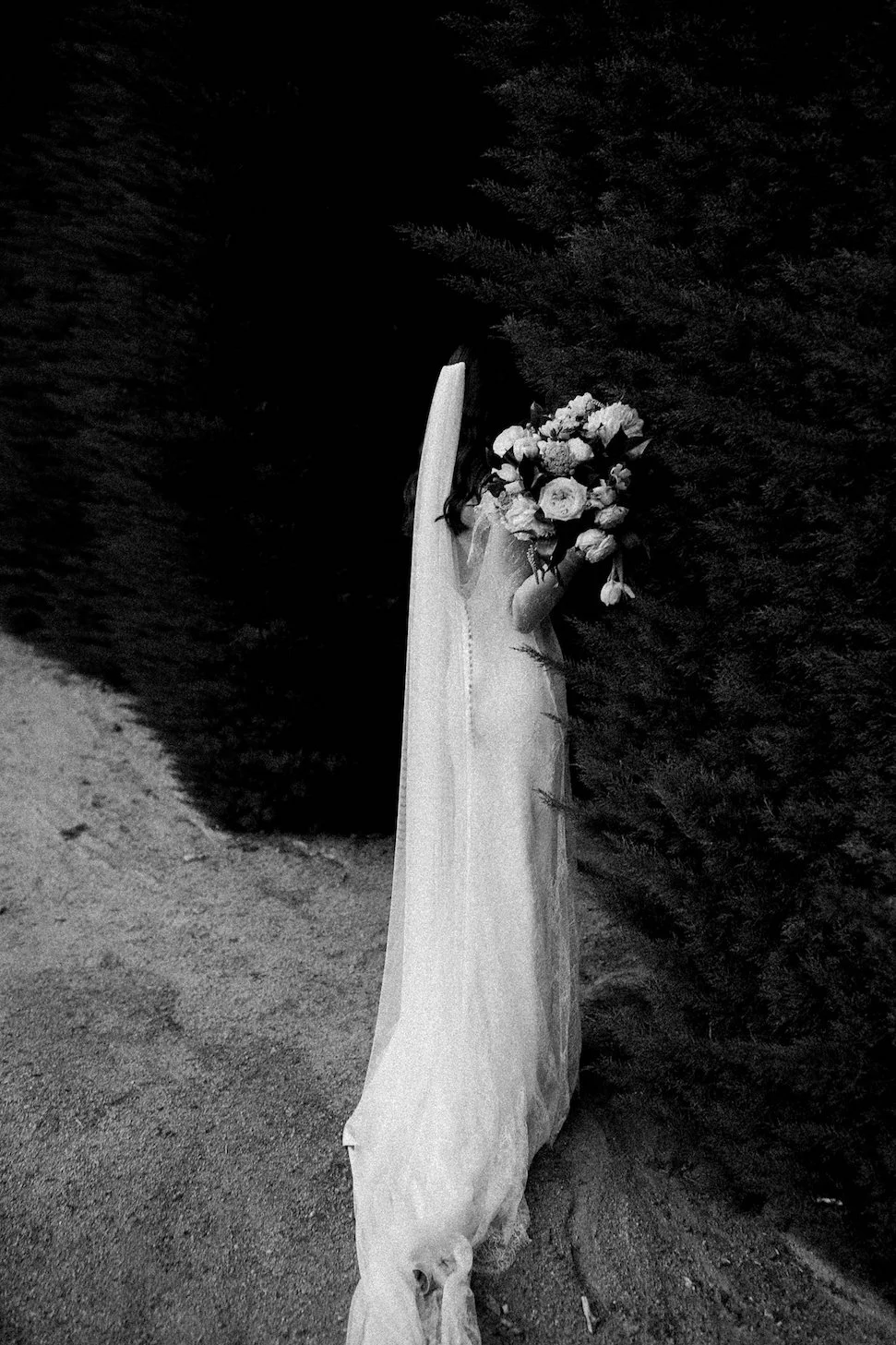 Bek Smith - Mr Theodore - Wedding Photographer Melbourne
