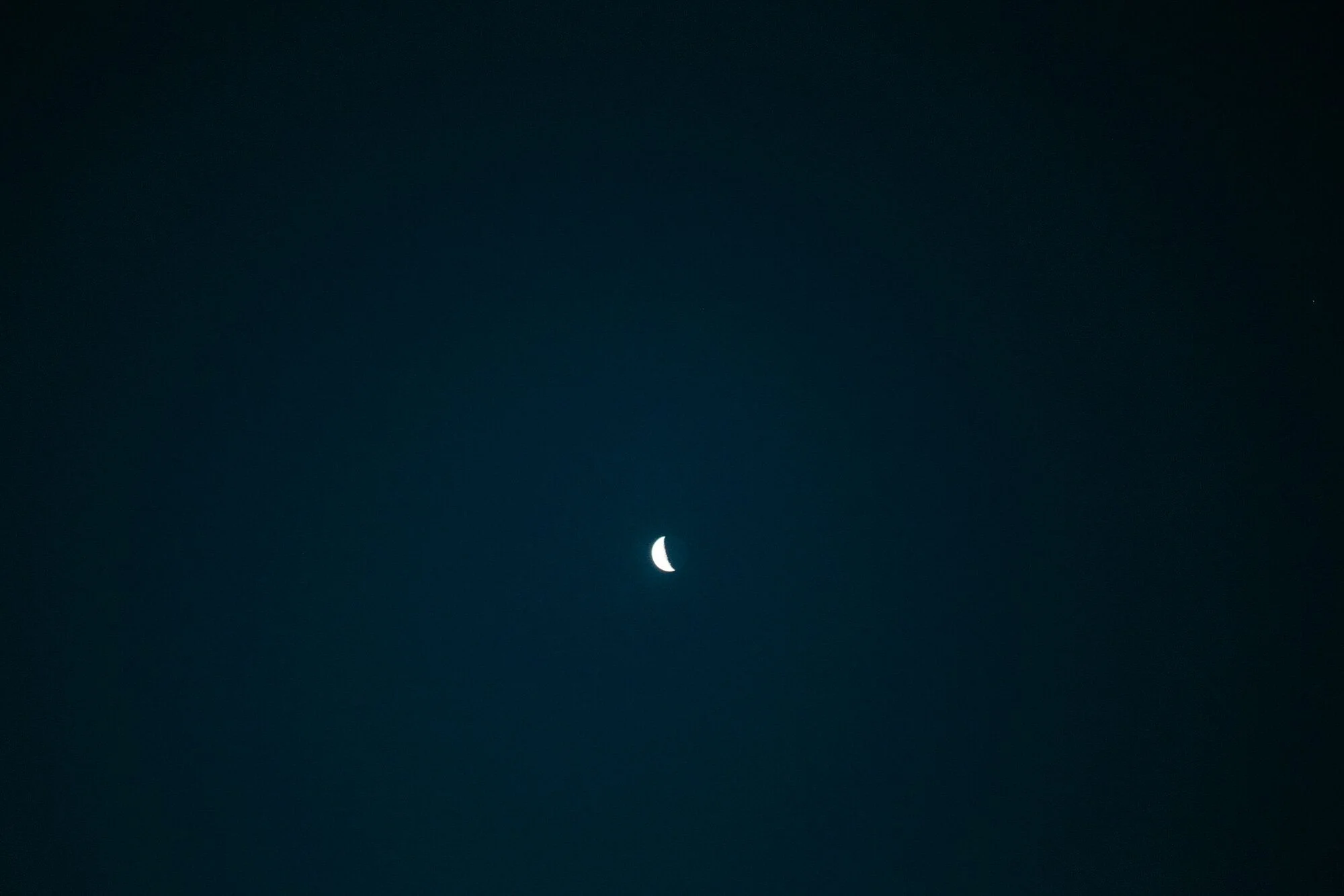 IBH17_FrDa_0934.jpg