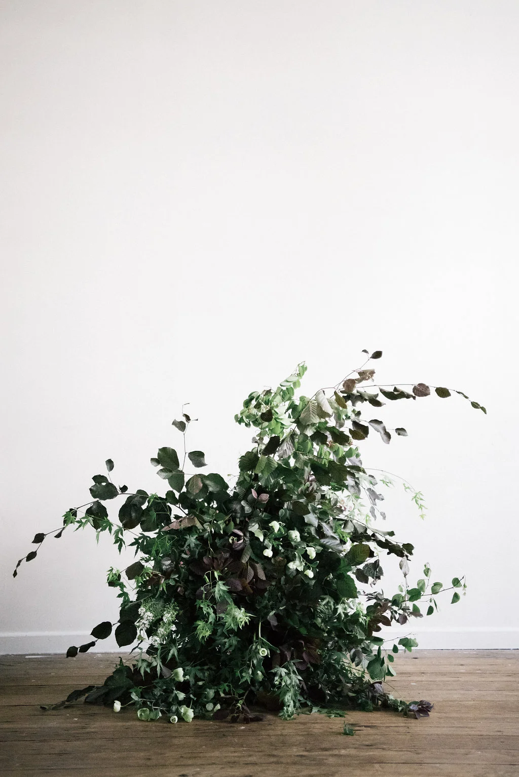 WhiteLily(13).jpg
