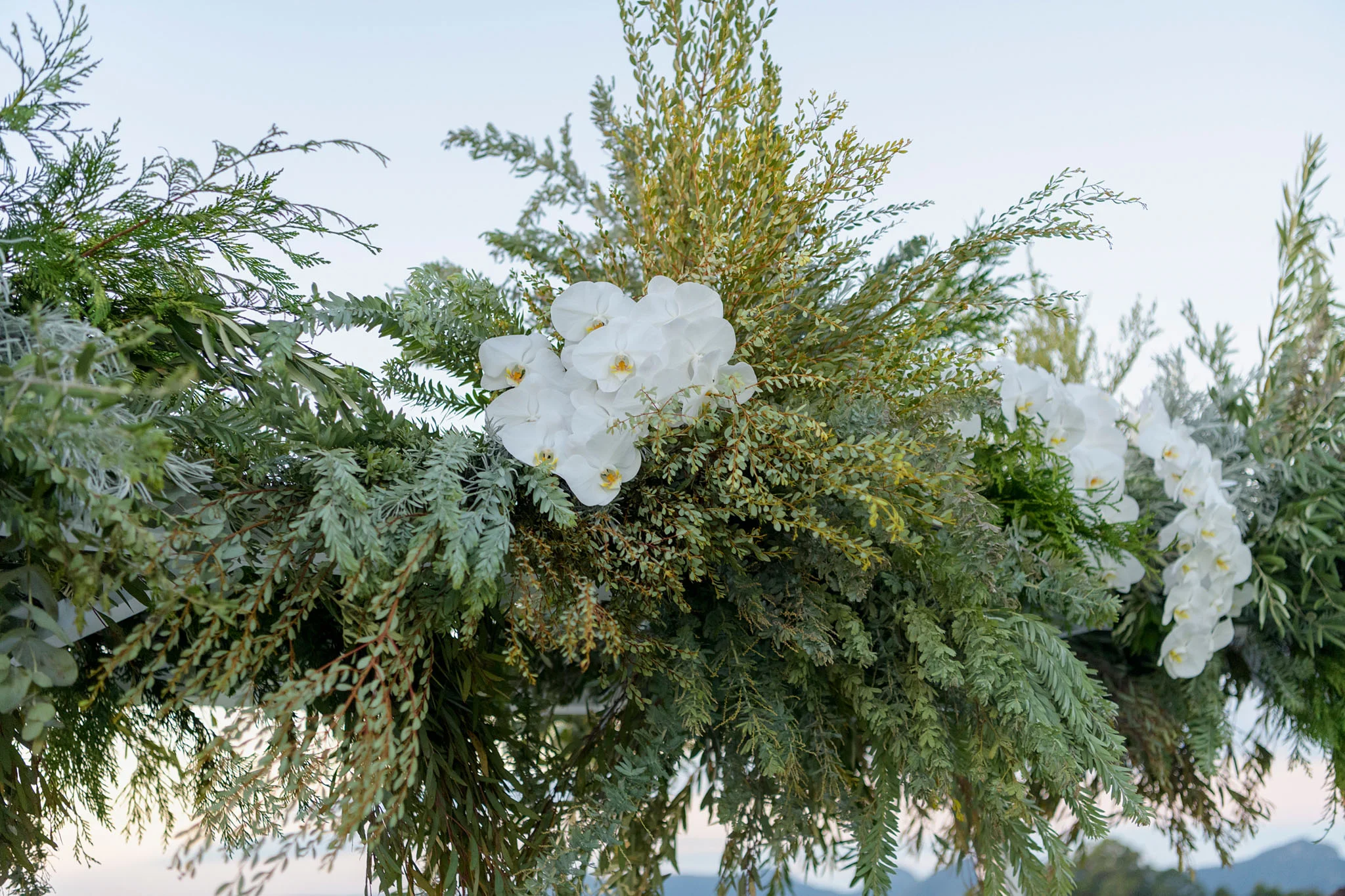 Mr Theodore - Same-sex weddings Australia_Matt Joudo and Taylor Fielding_Mr Theodore.8