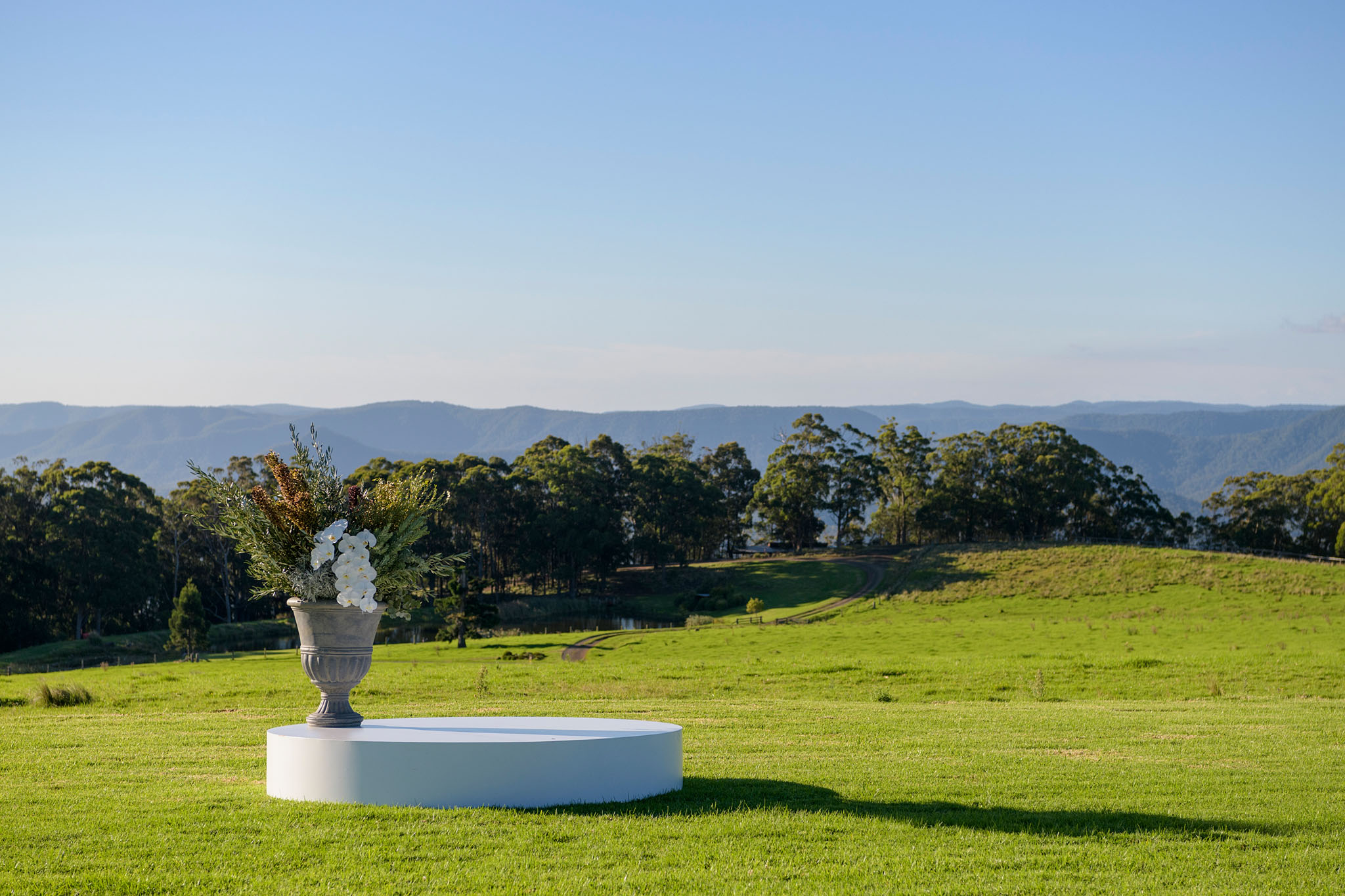 Mr Theodore - Same-sex weddings Australia_Matt Joudo and Taylor Fielding_Mr Theodore.9