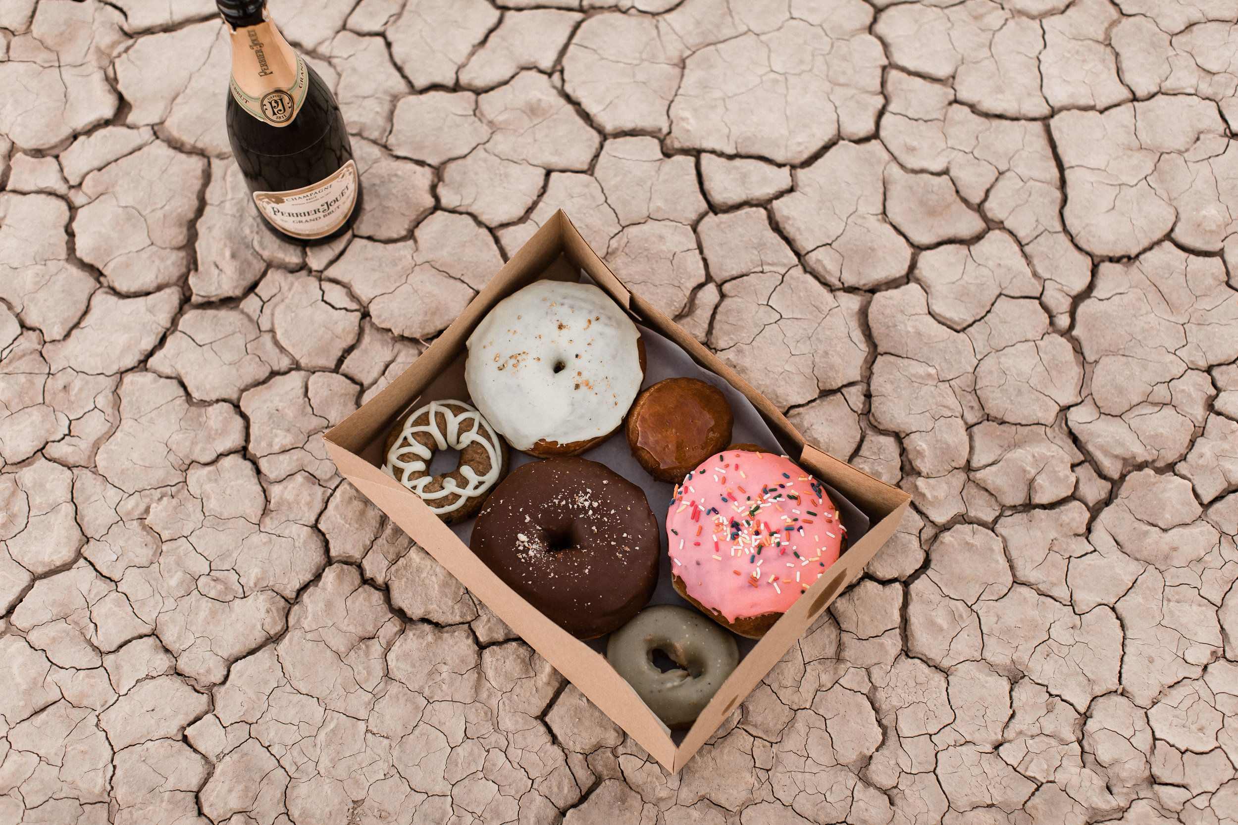 Ben and Ryan's Nevada Desert Elopement